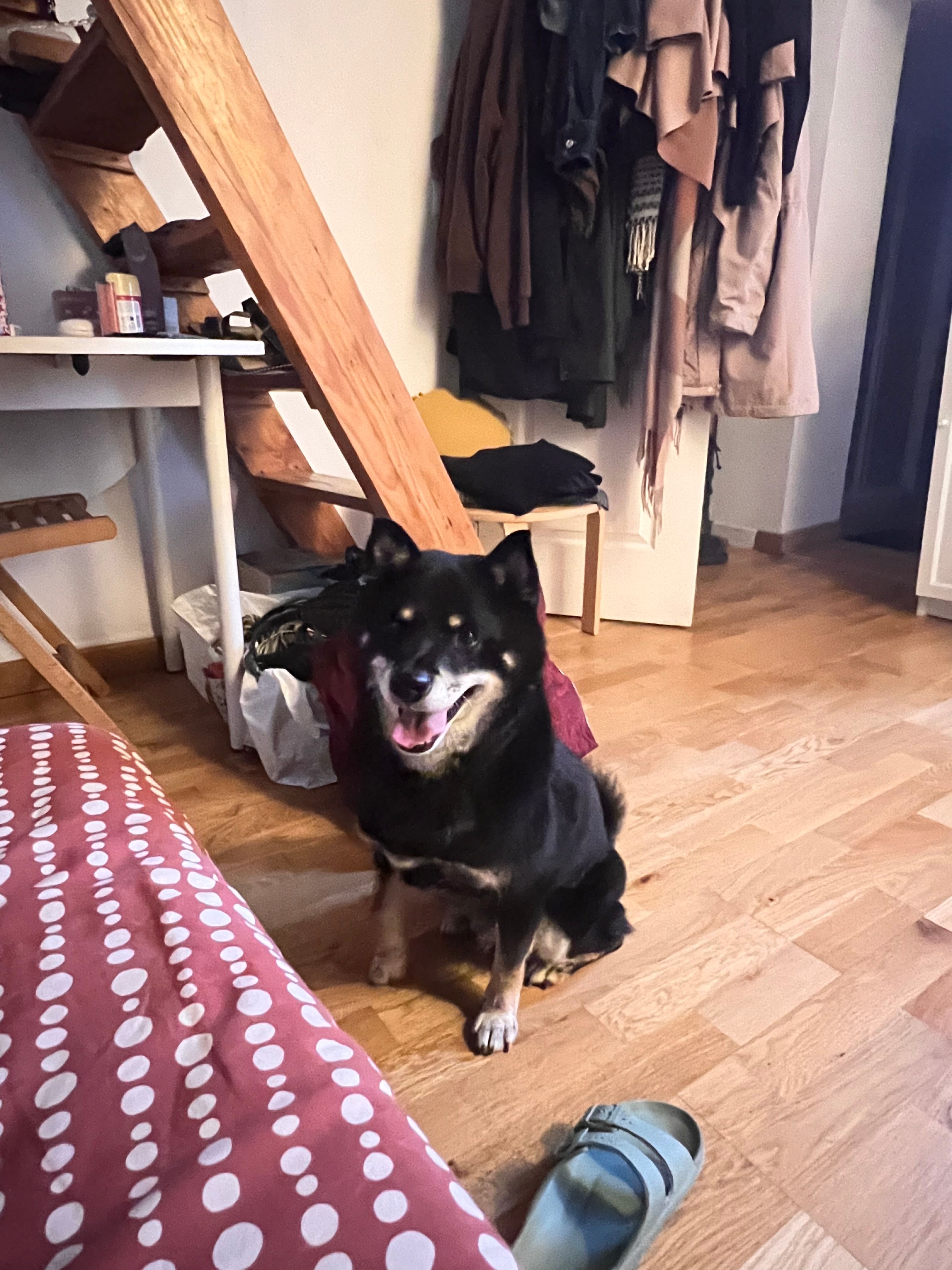 image-15