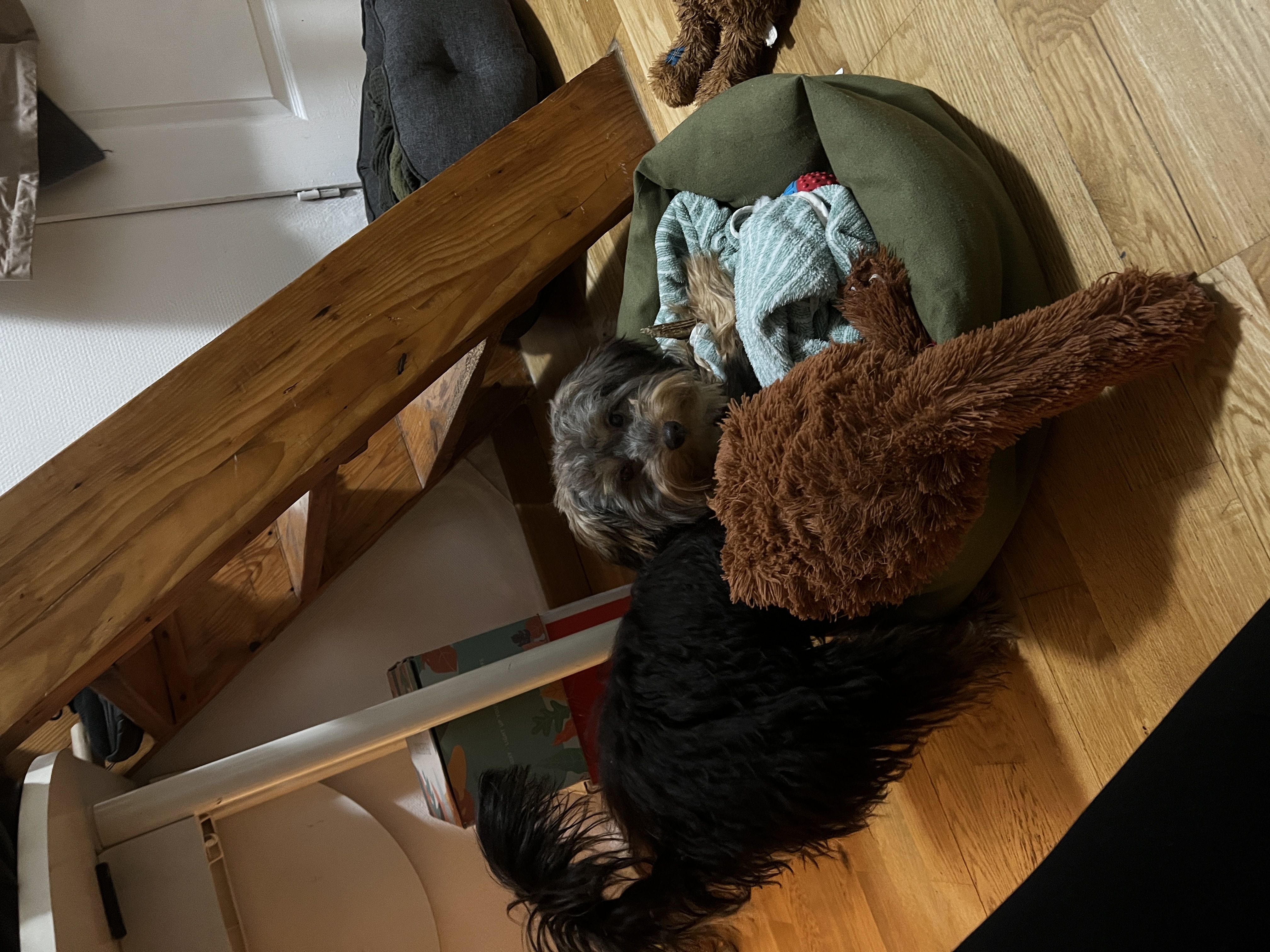 image-37