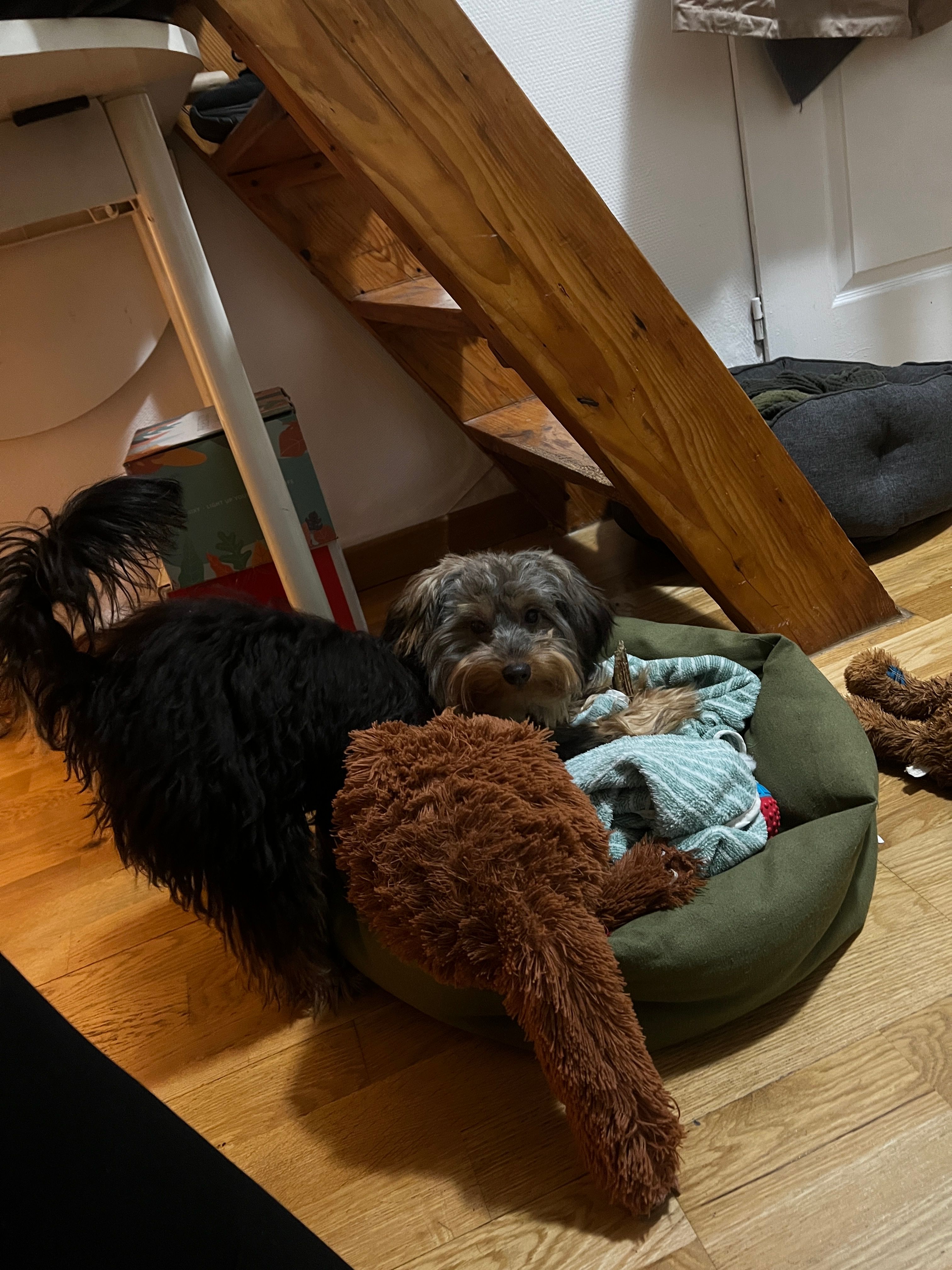 image-37