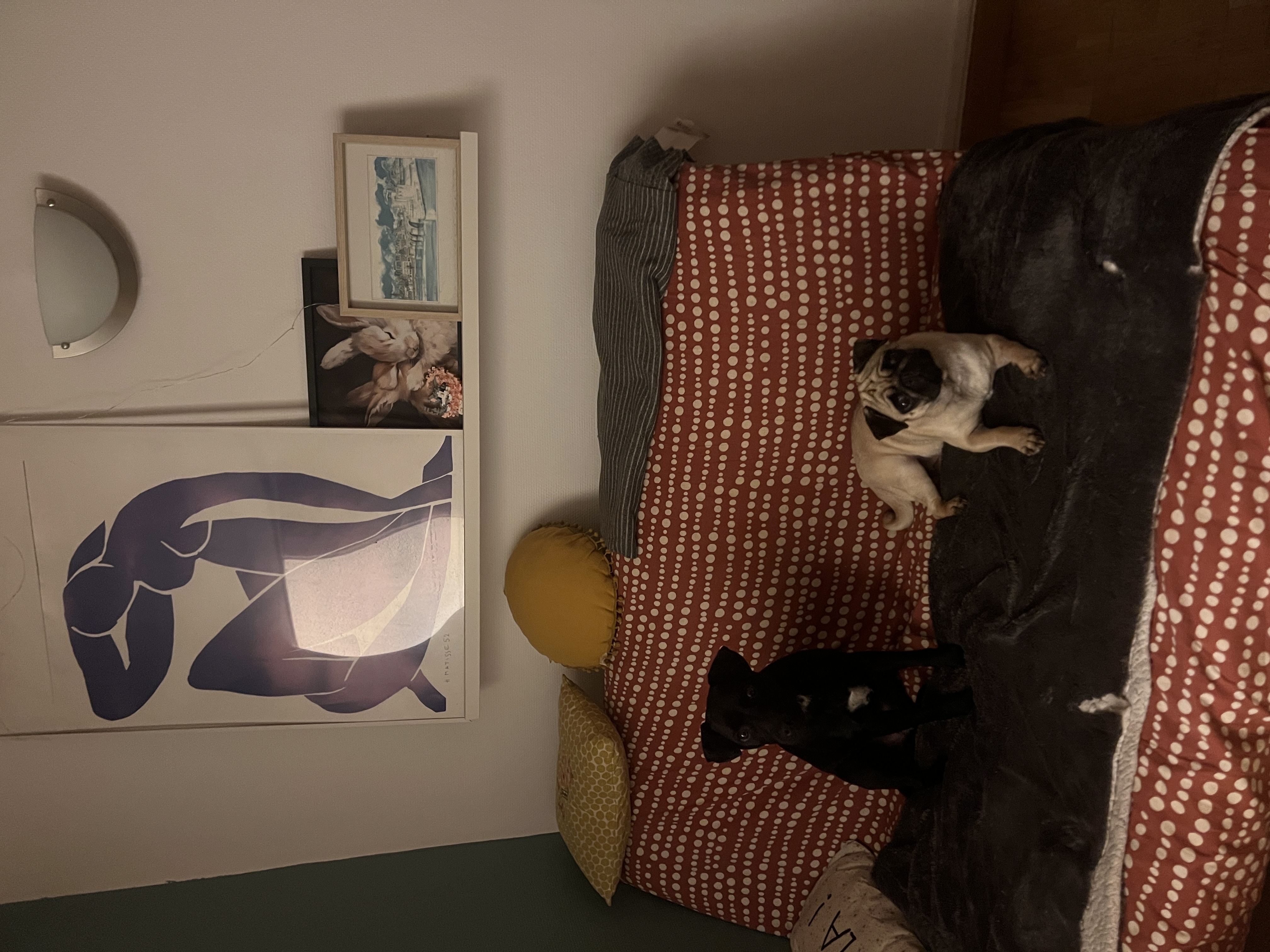 image-32