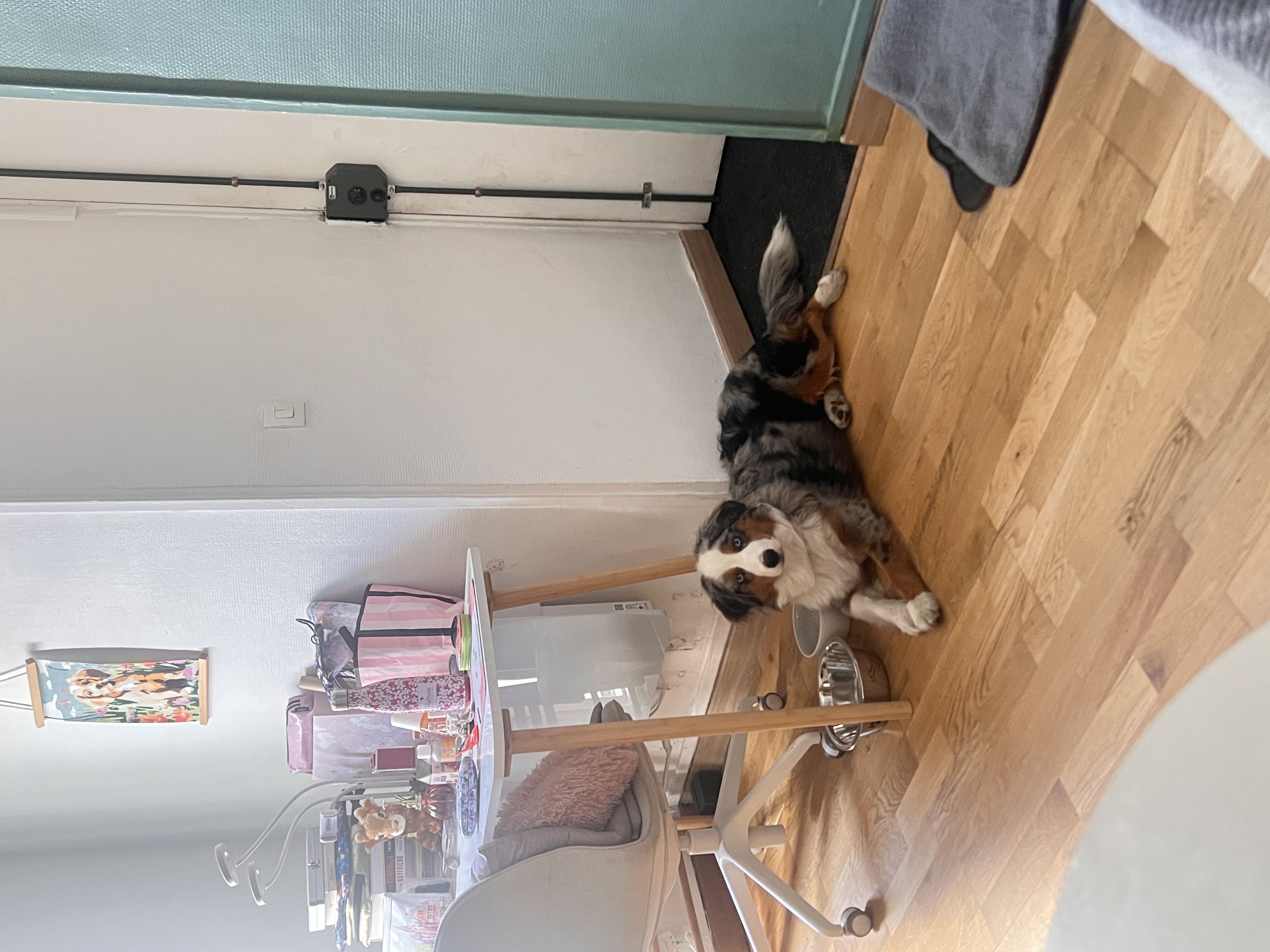 image-29