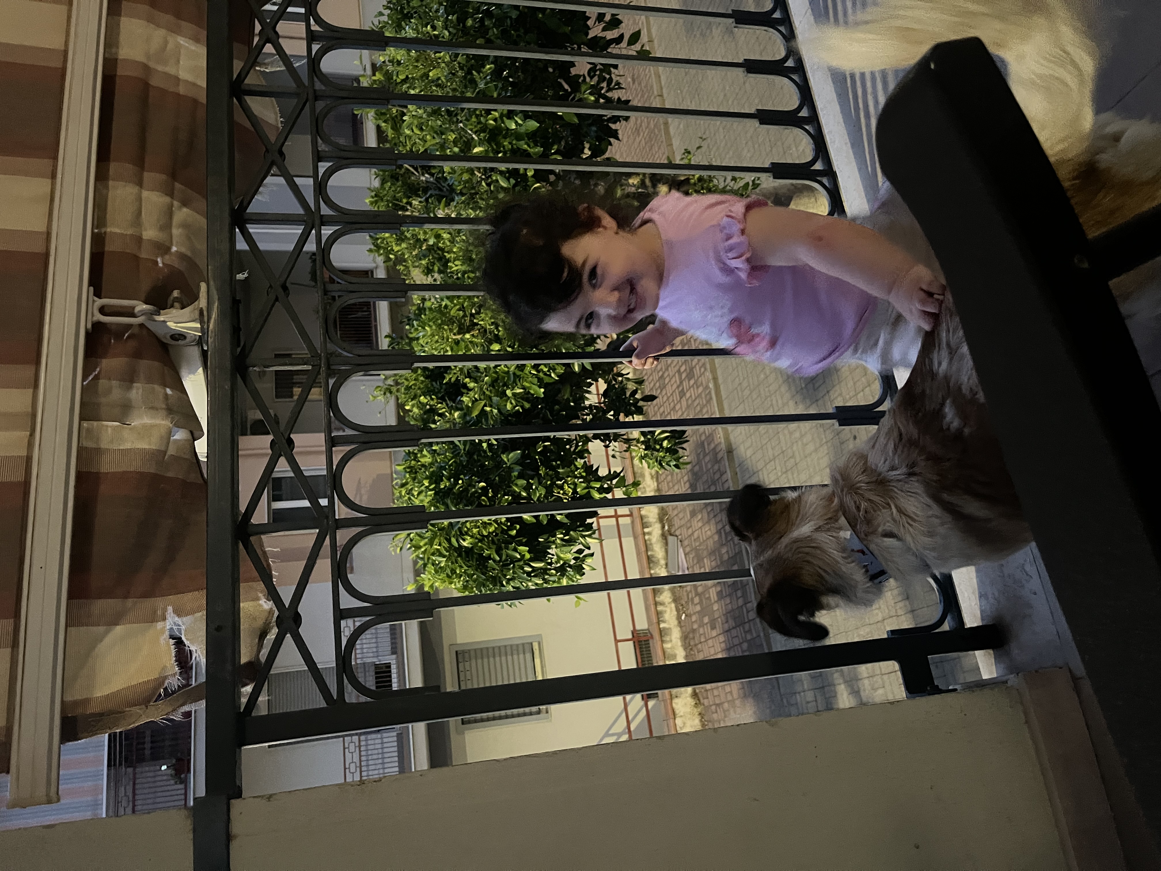 image-8