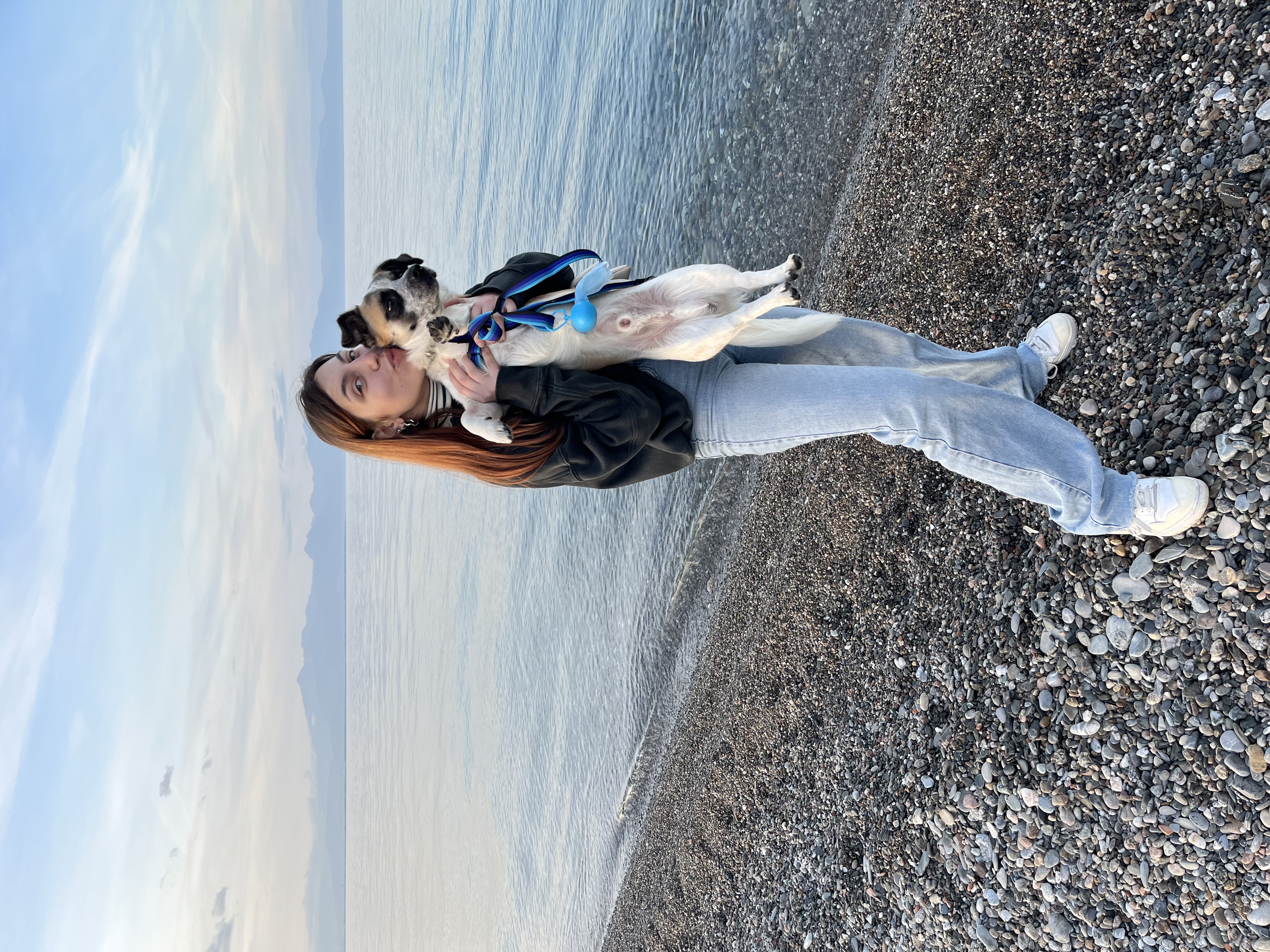 image-14