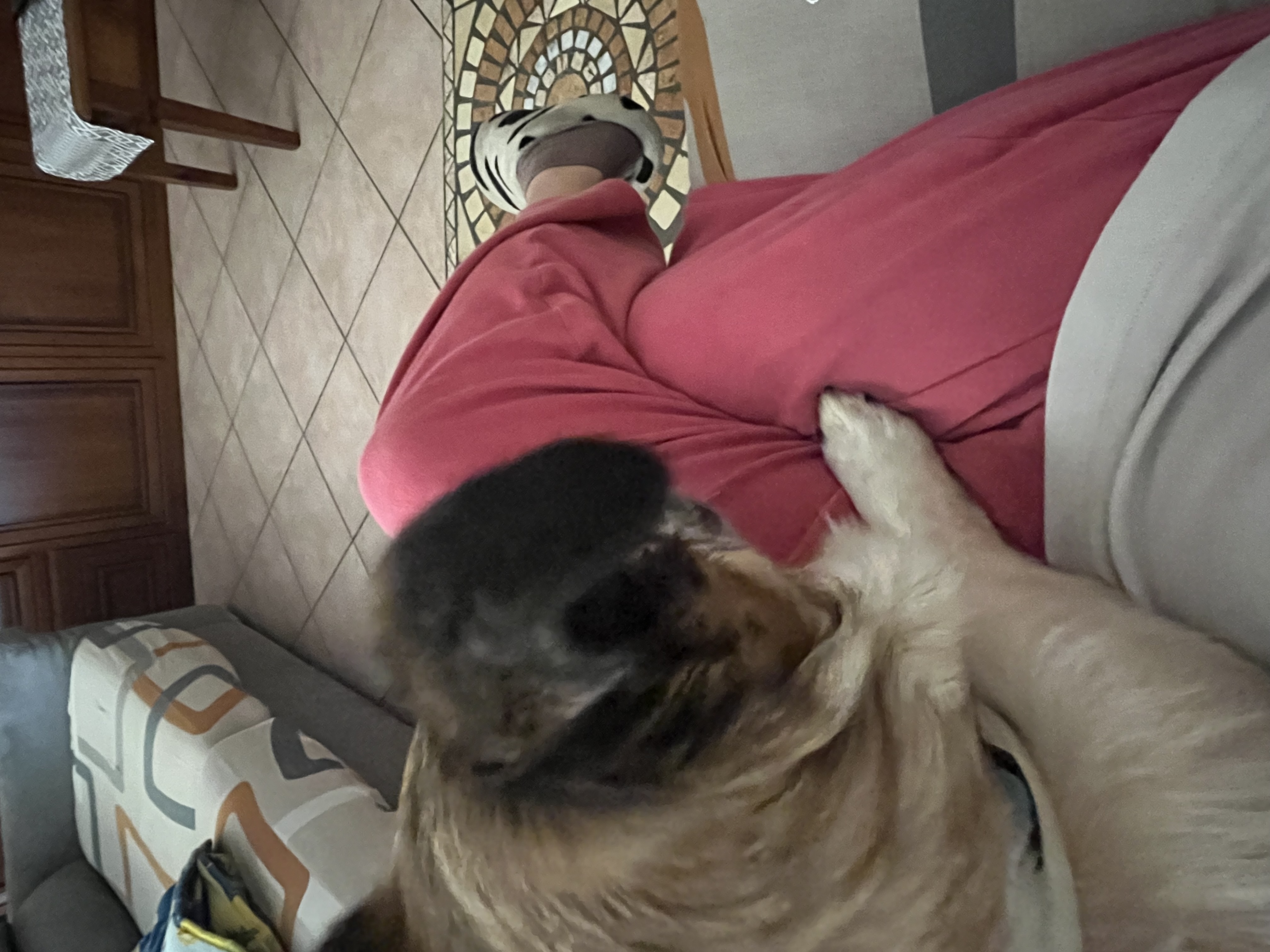 image-10