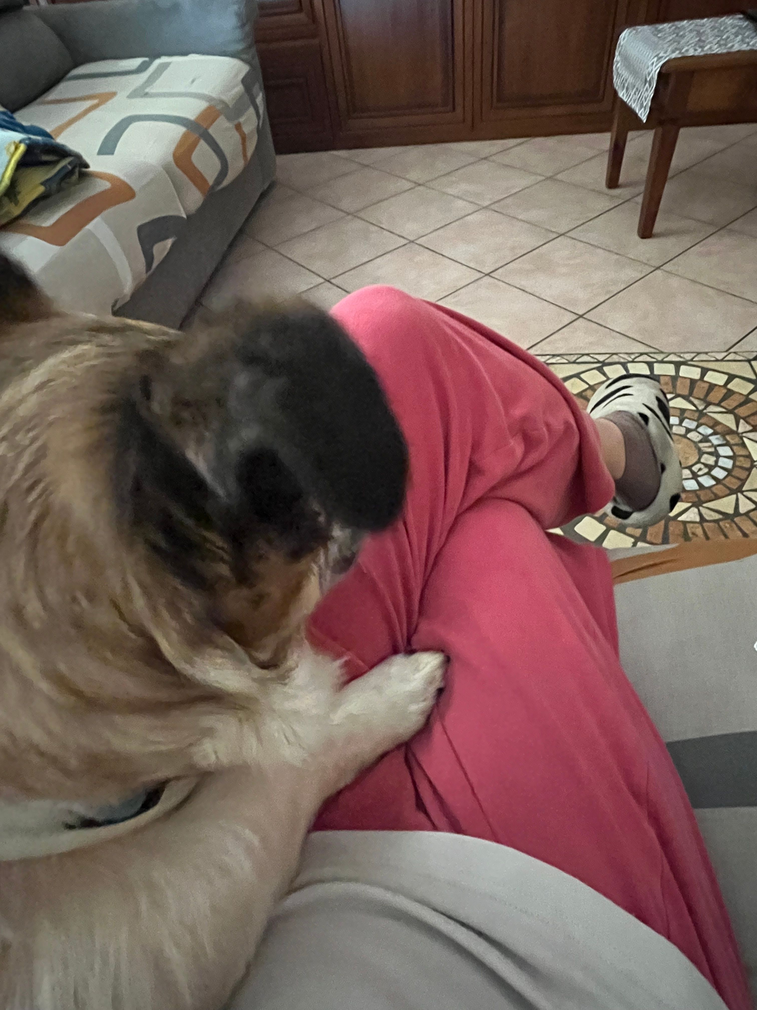image-10
