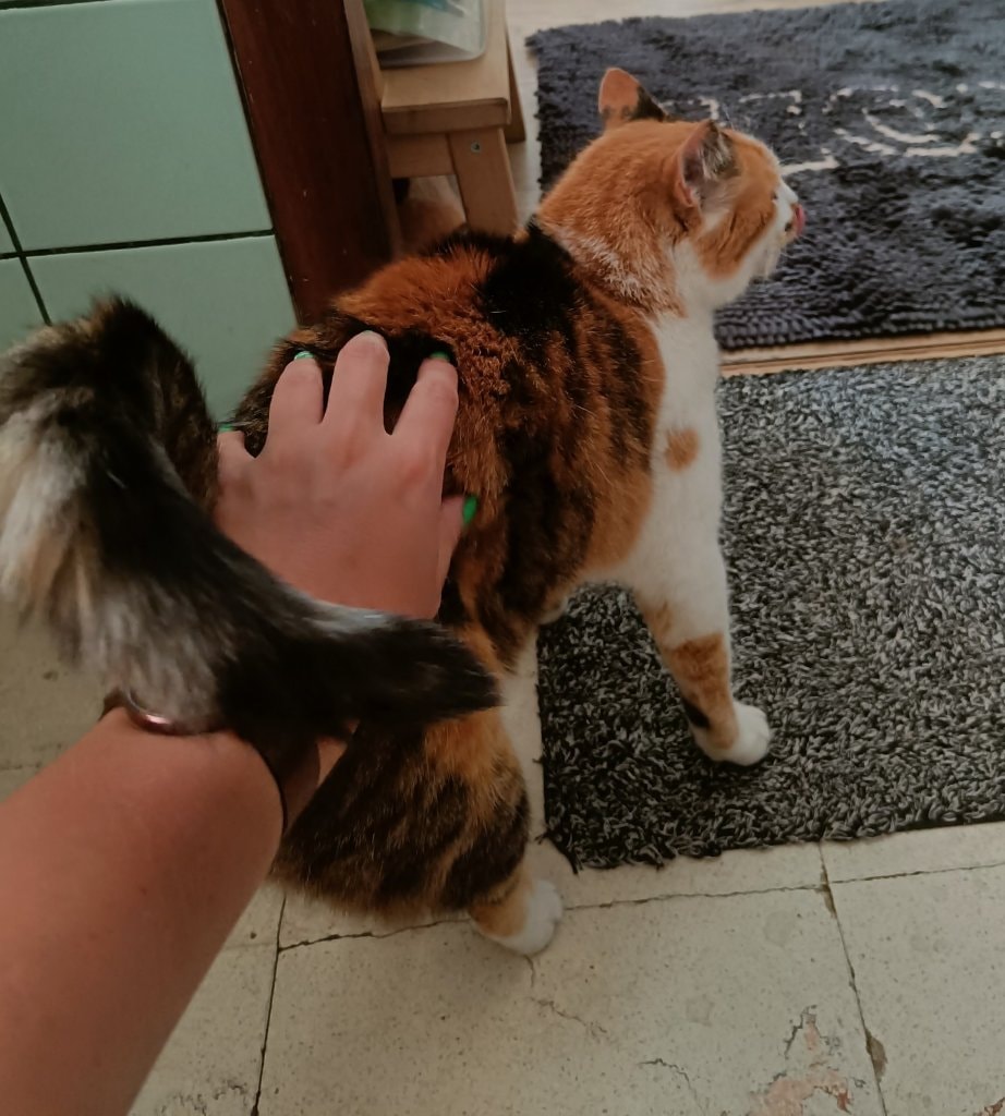 image-8