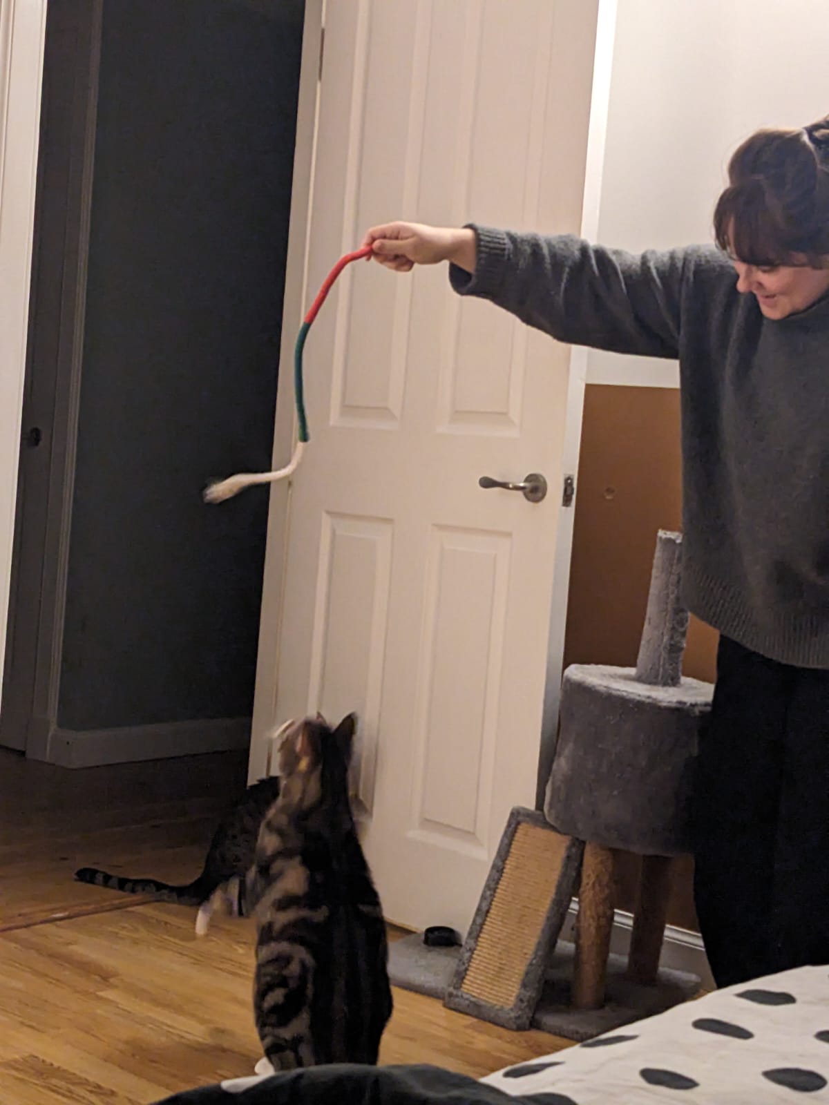 image-13