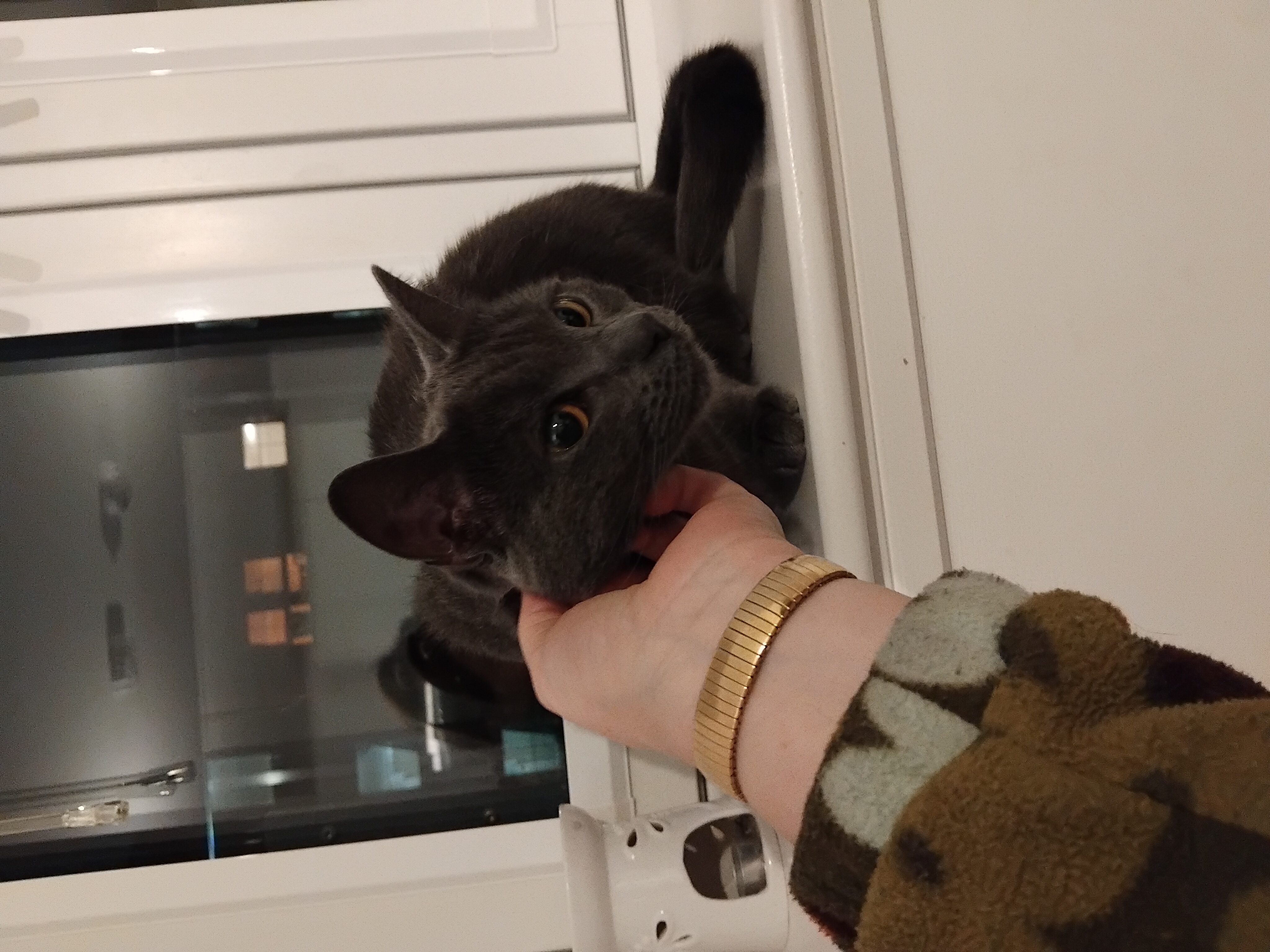 image-9