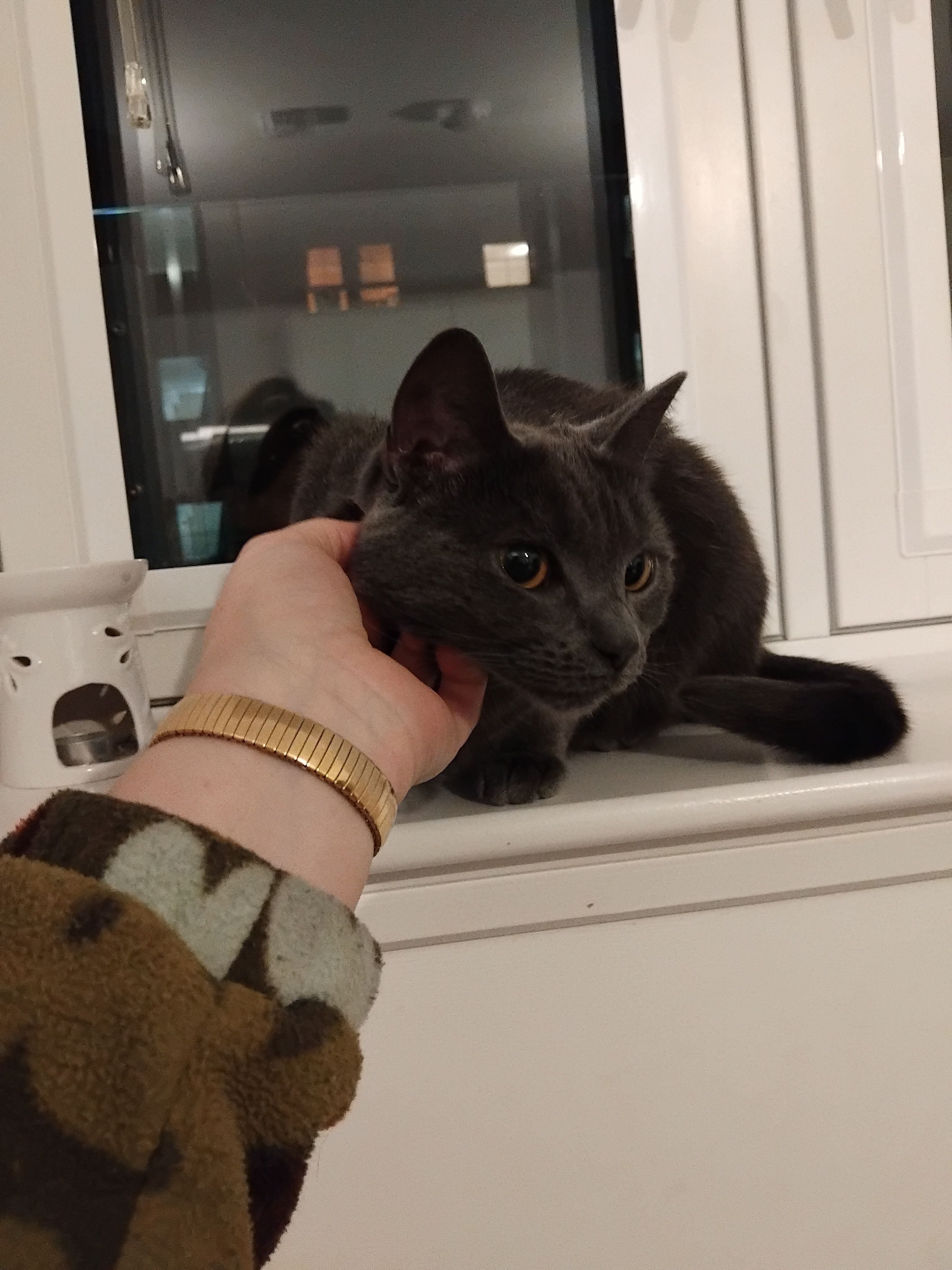 image-9