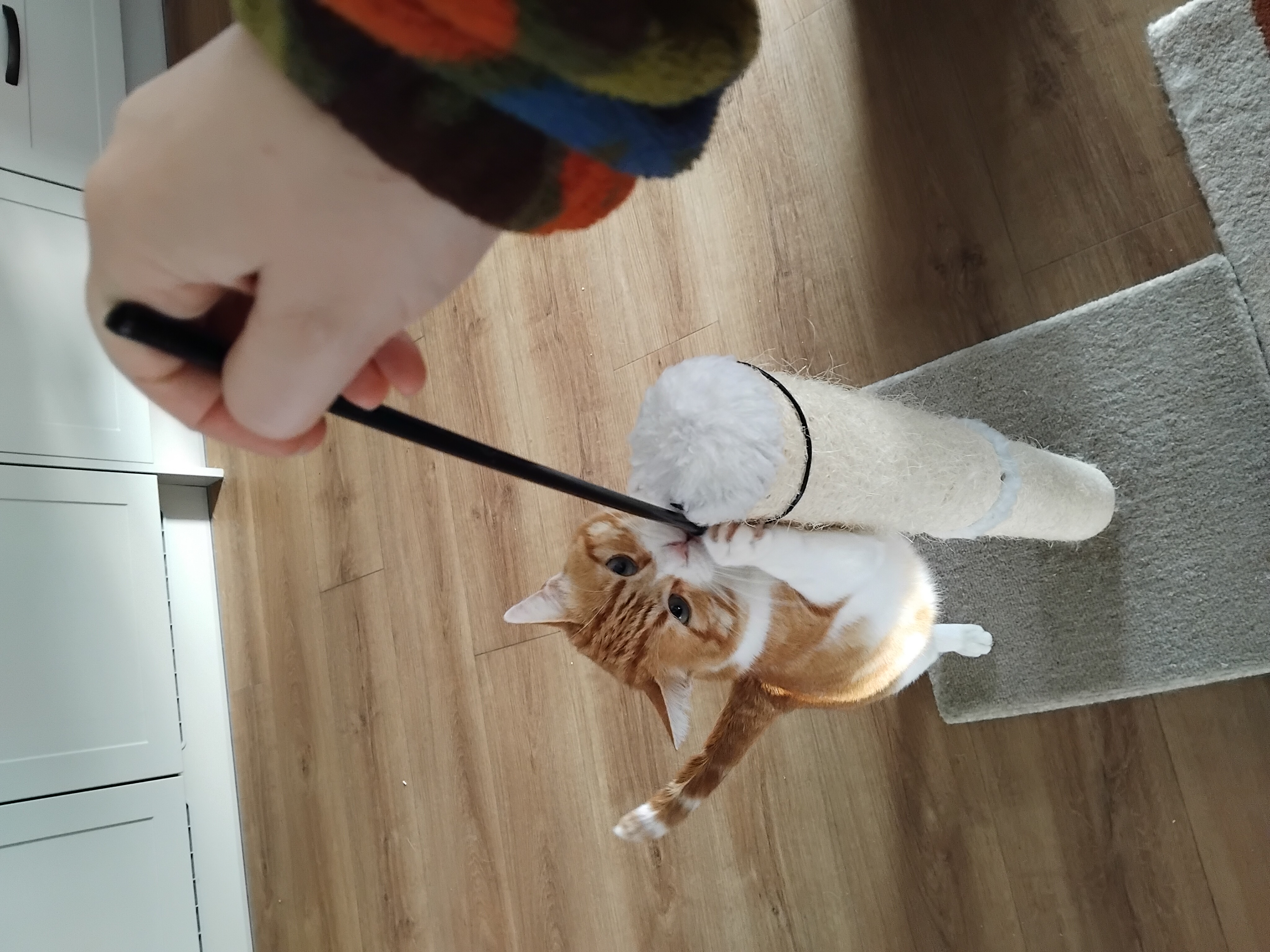 image-10