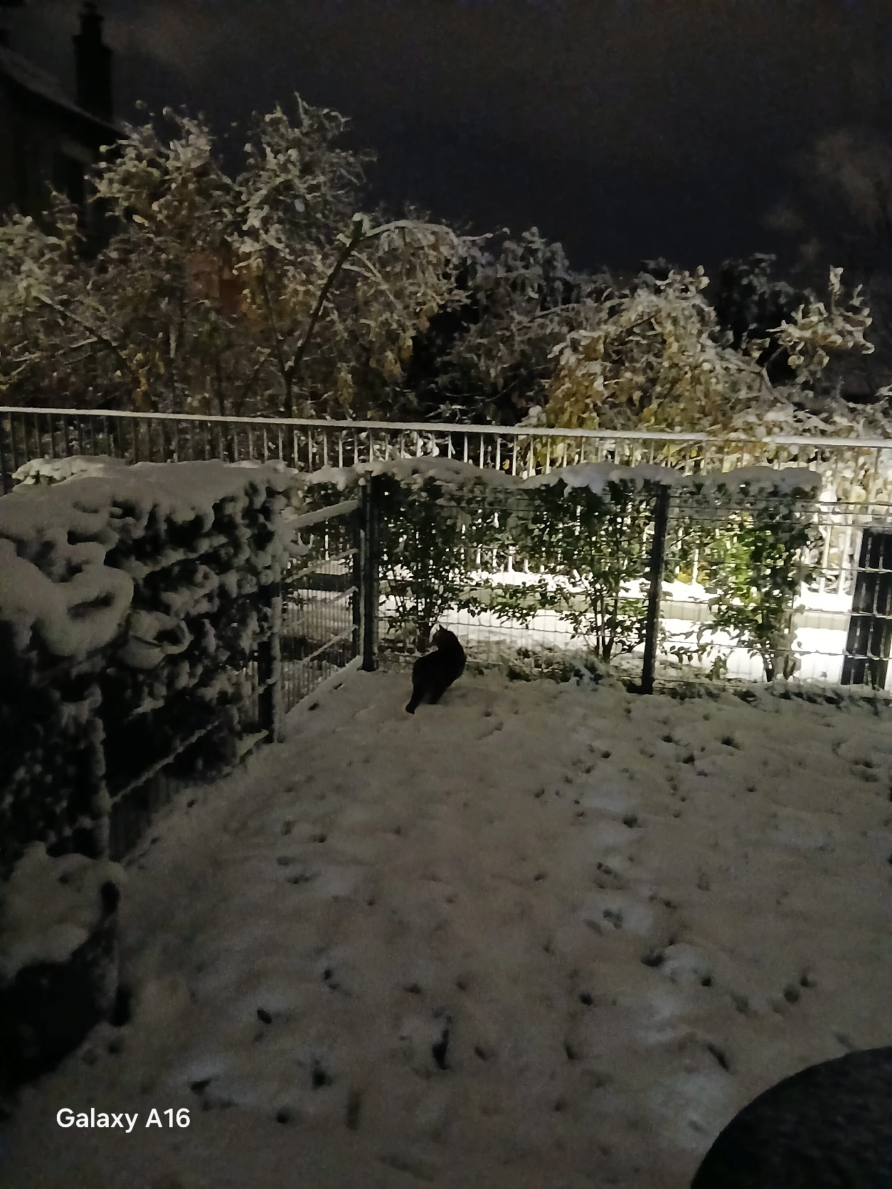 image-10