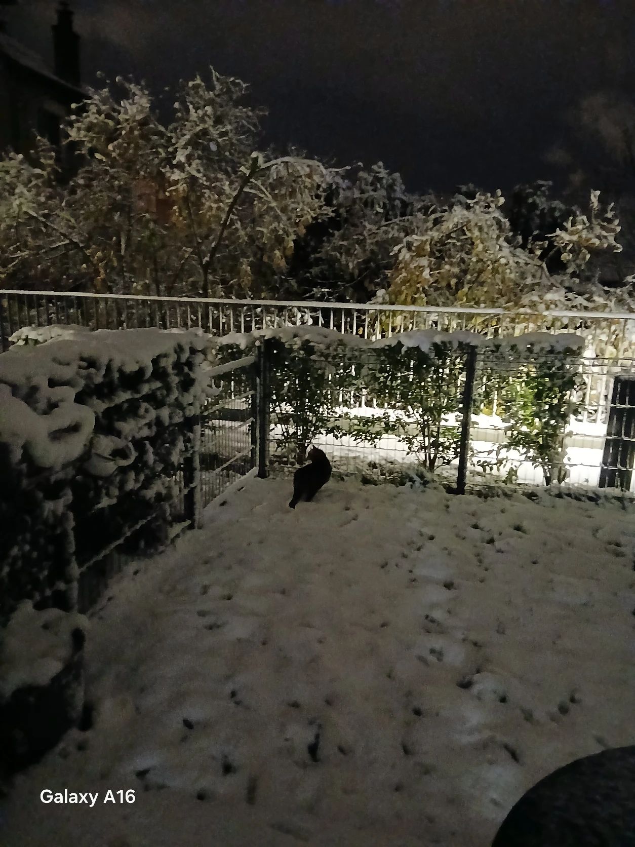 image-10