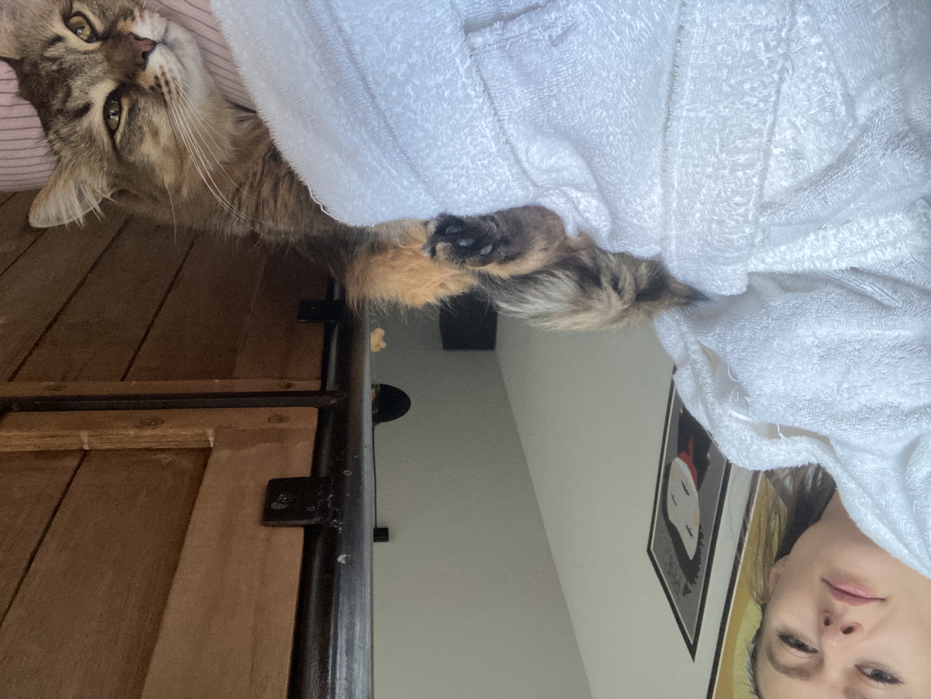 image-6