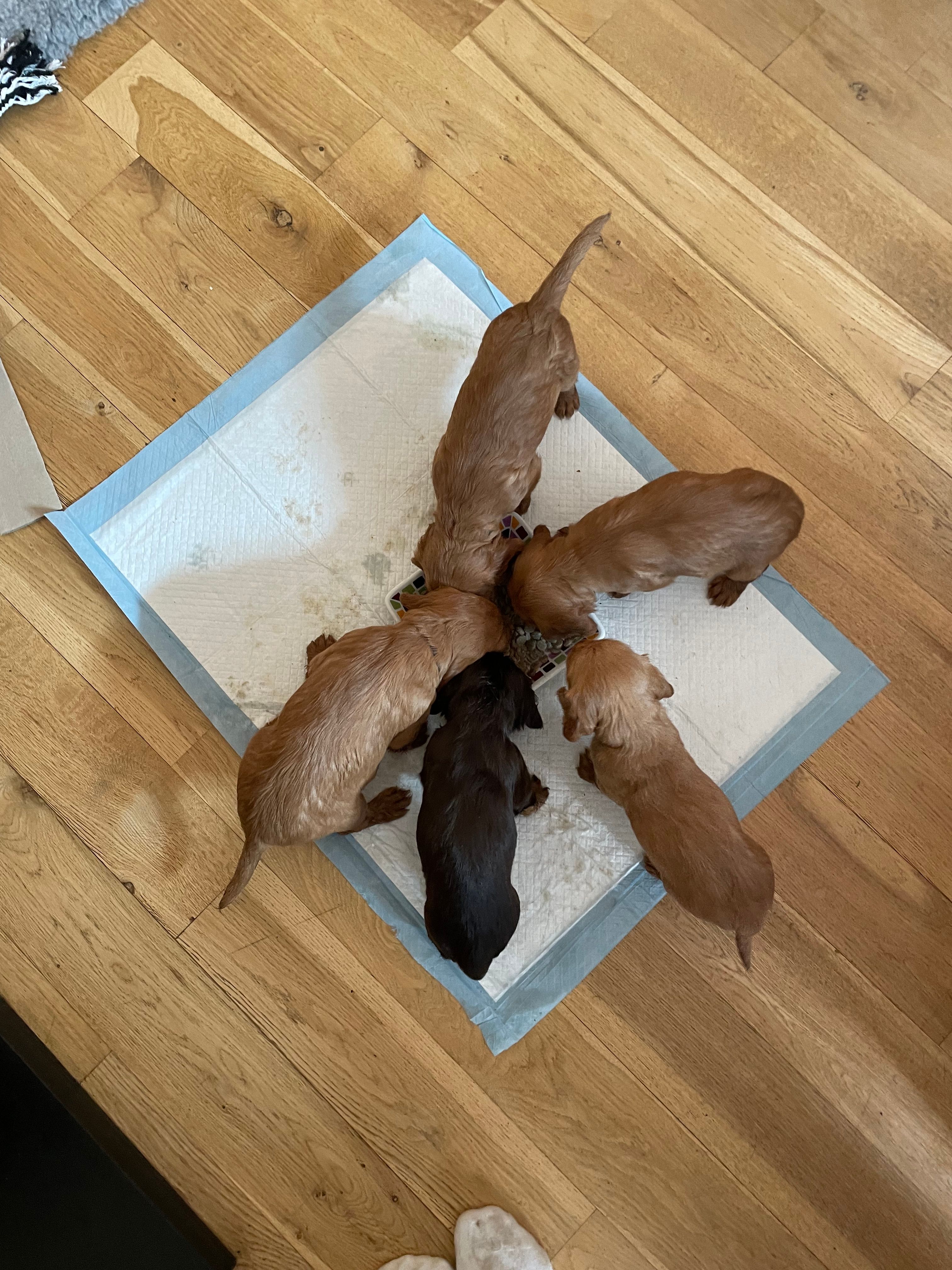 image-5