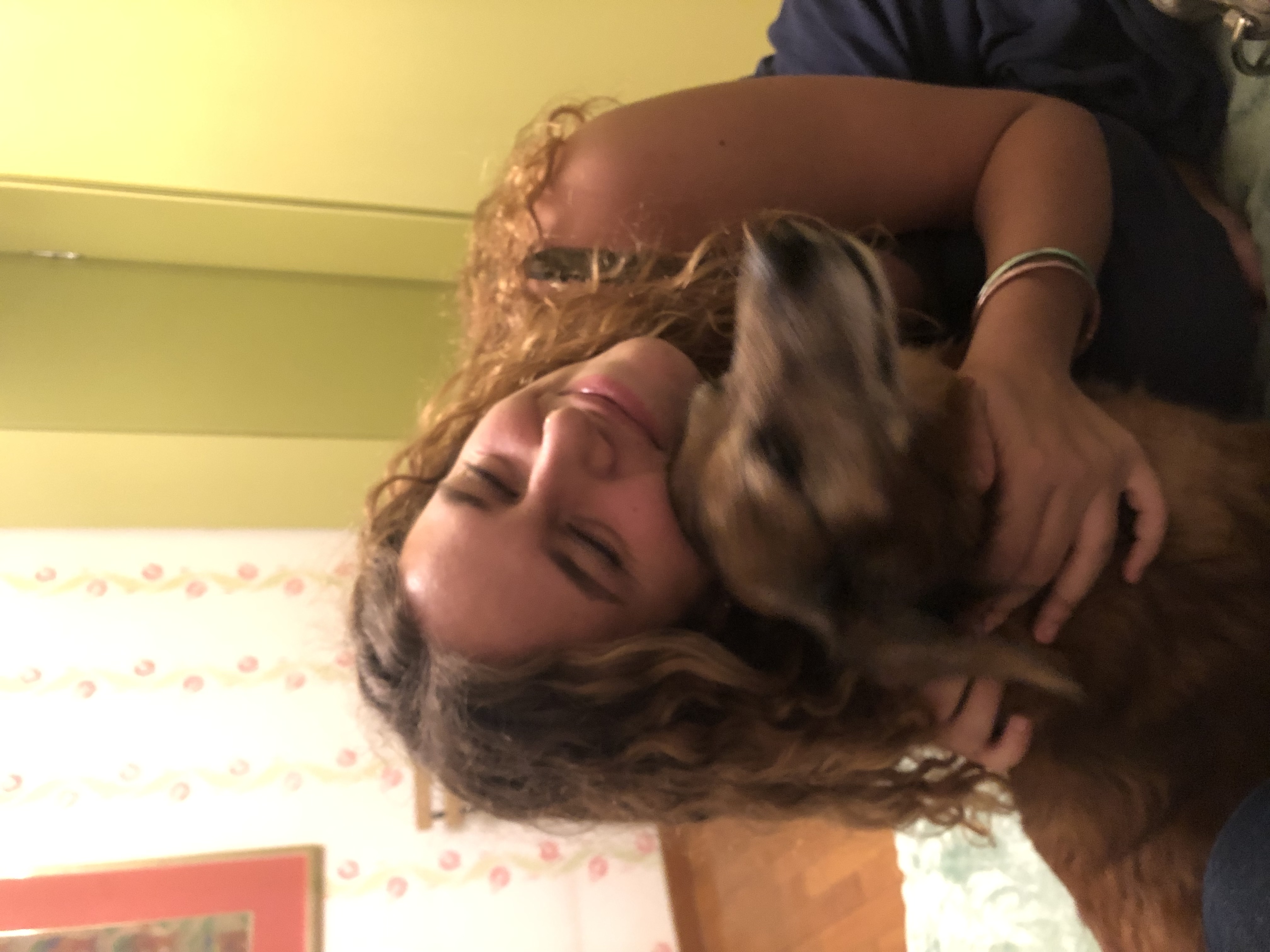 image-7