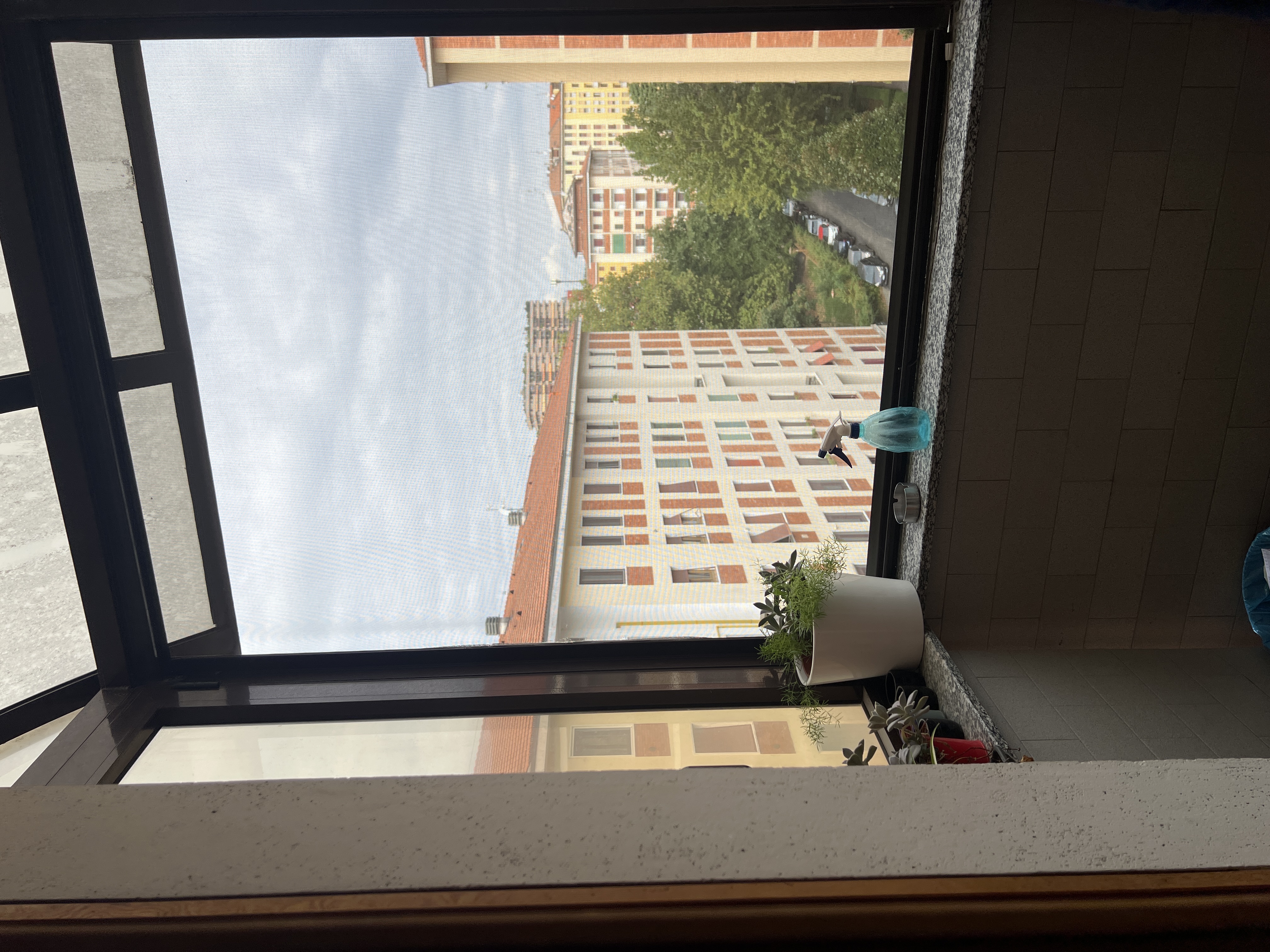 image-19