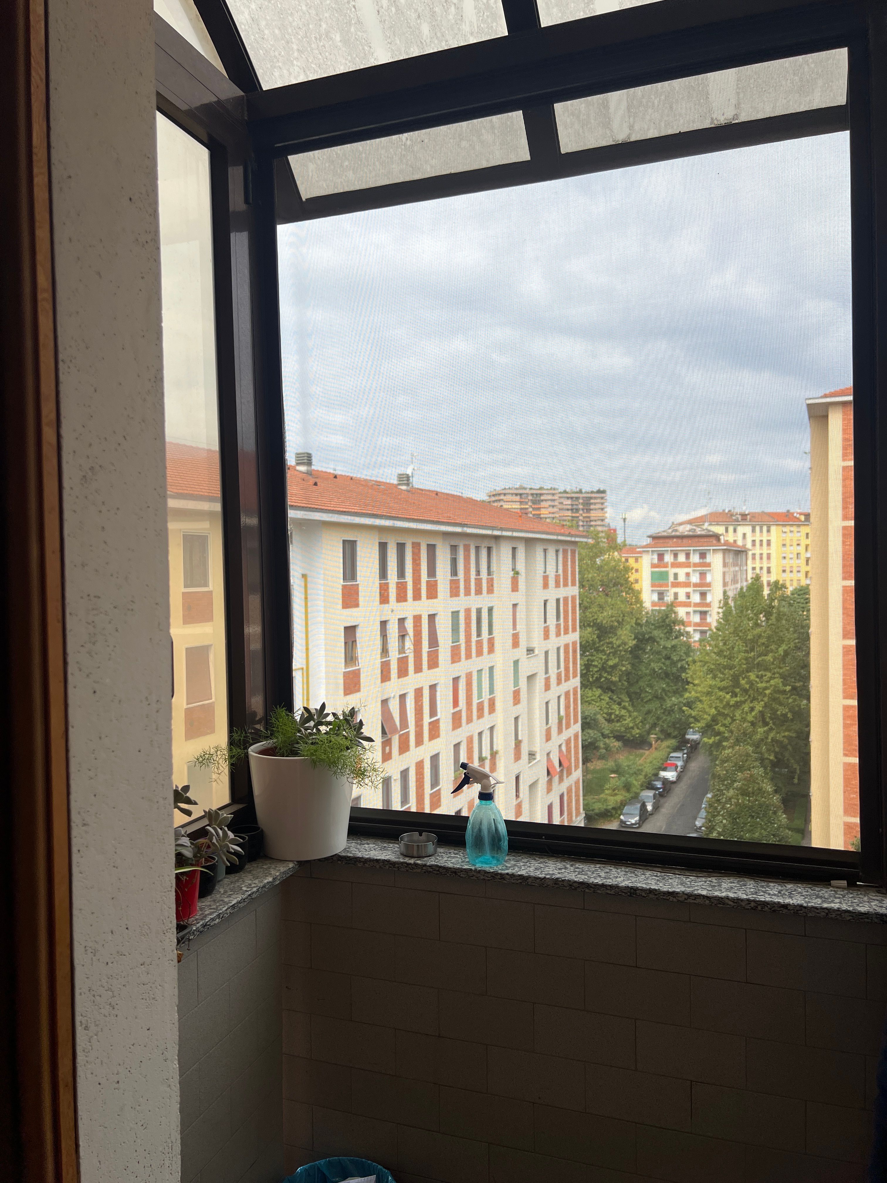image-19