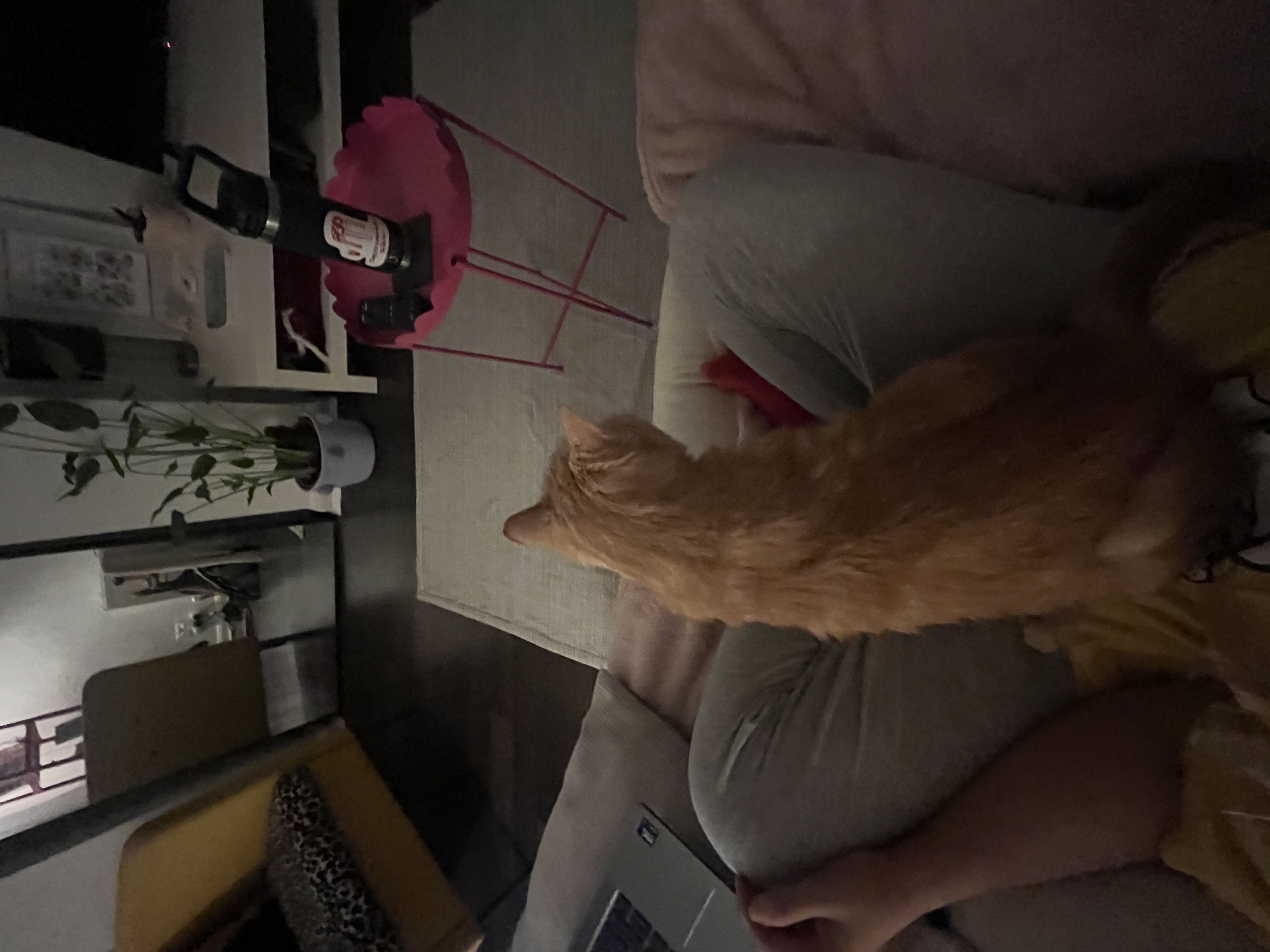 image-10