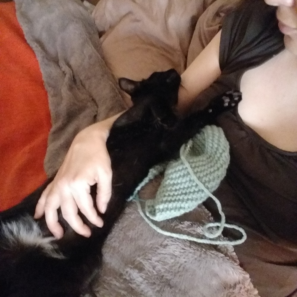 image-6