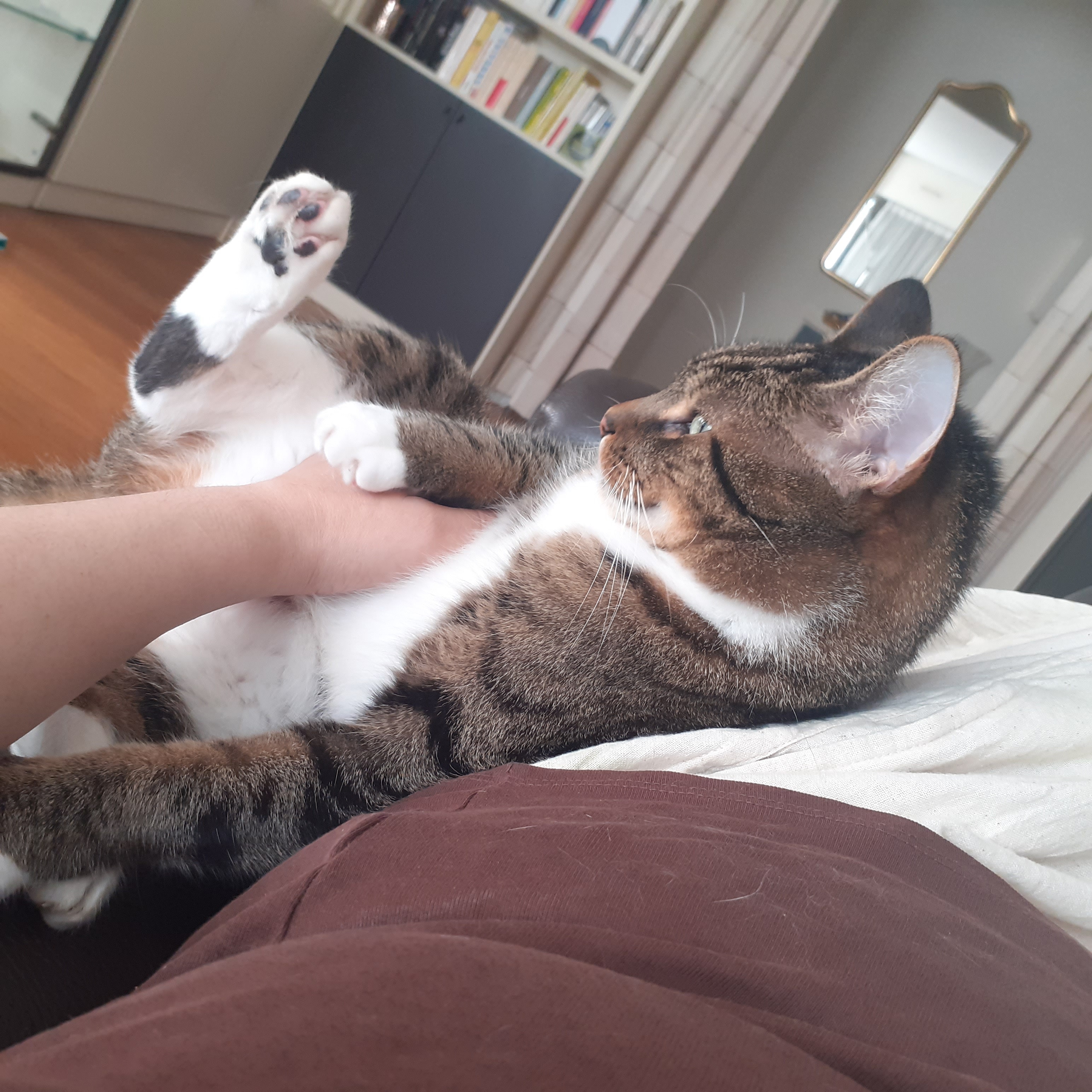 image-7