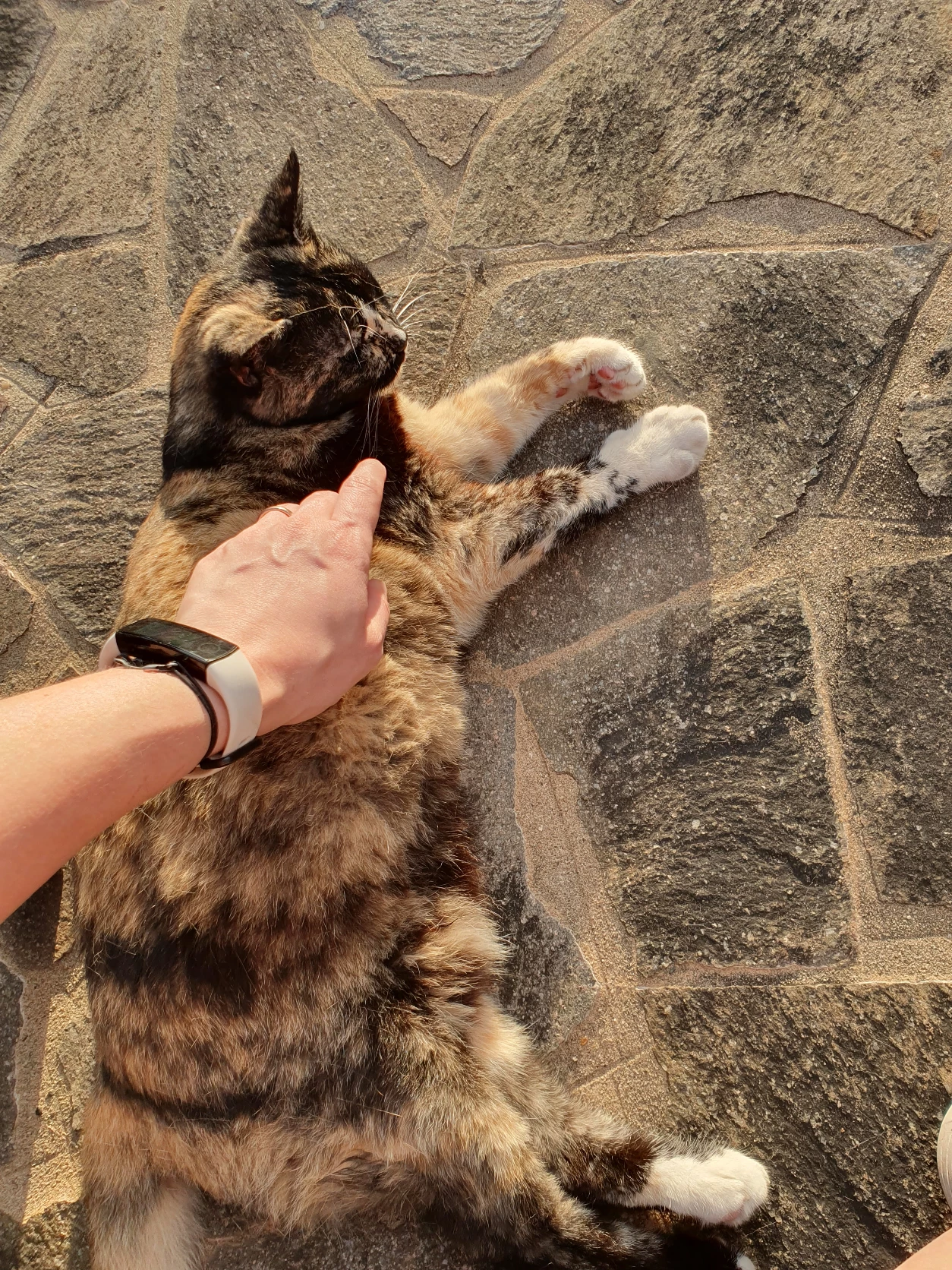 image-16