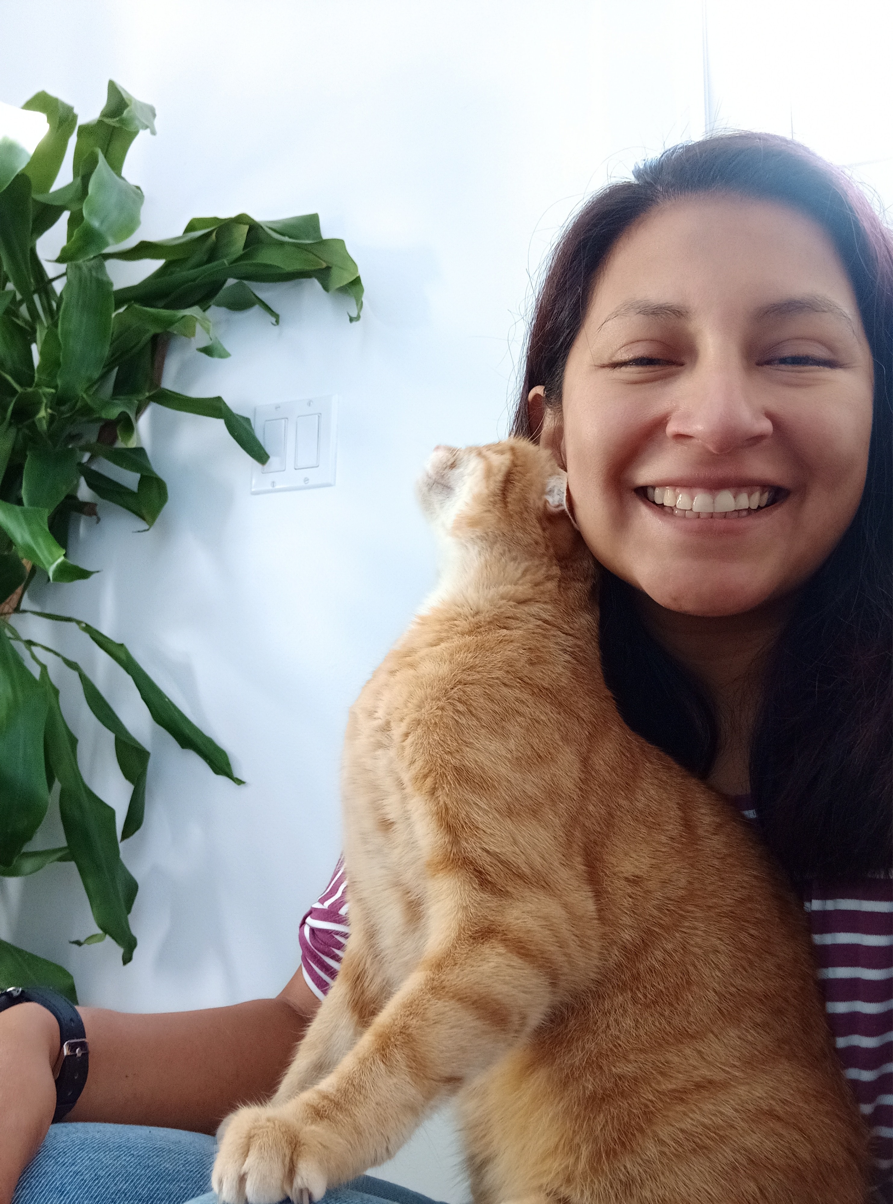 image-0
