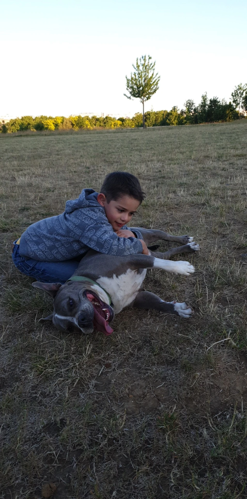 image-10