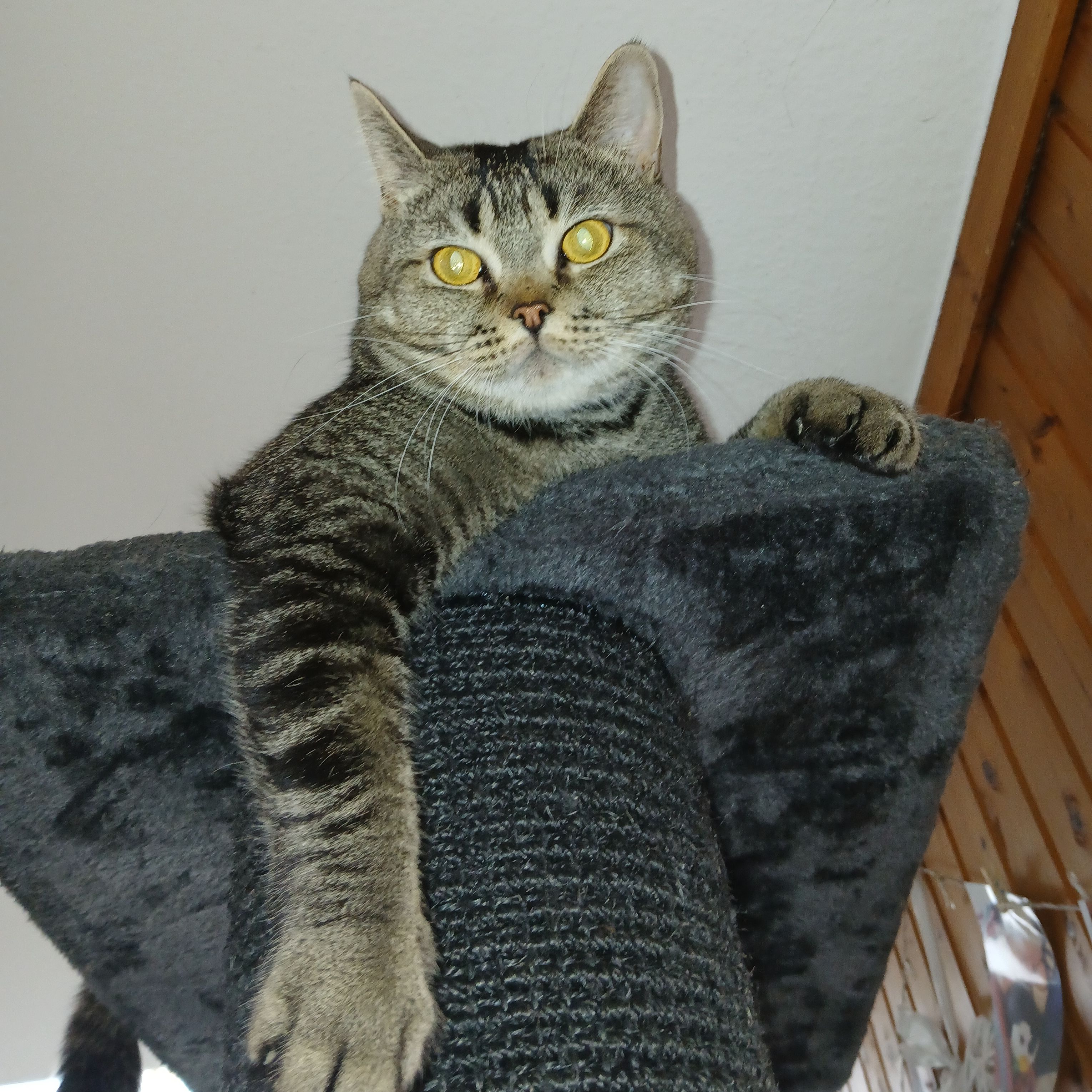 Hunter