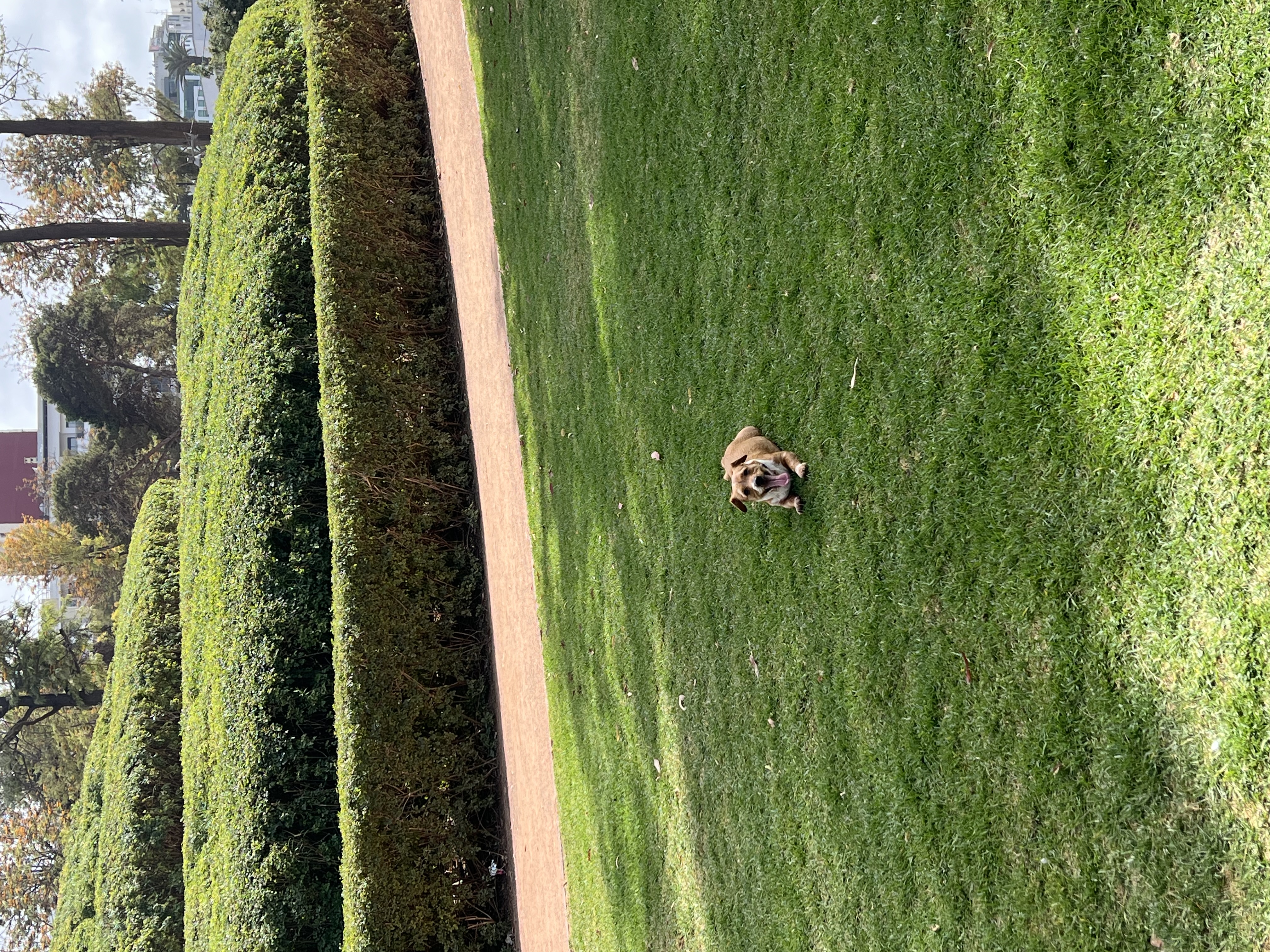image-6