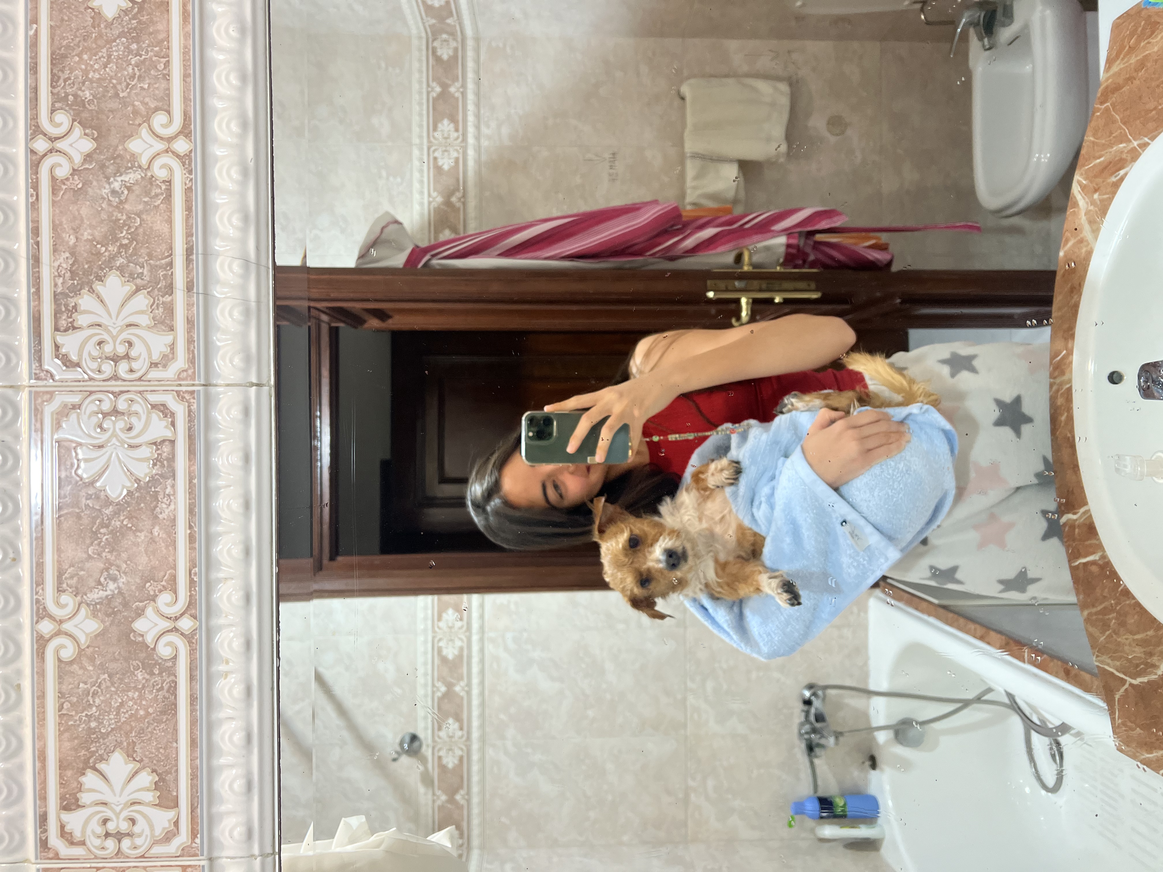 image-11