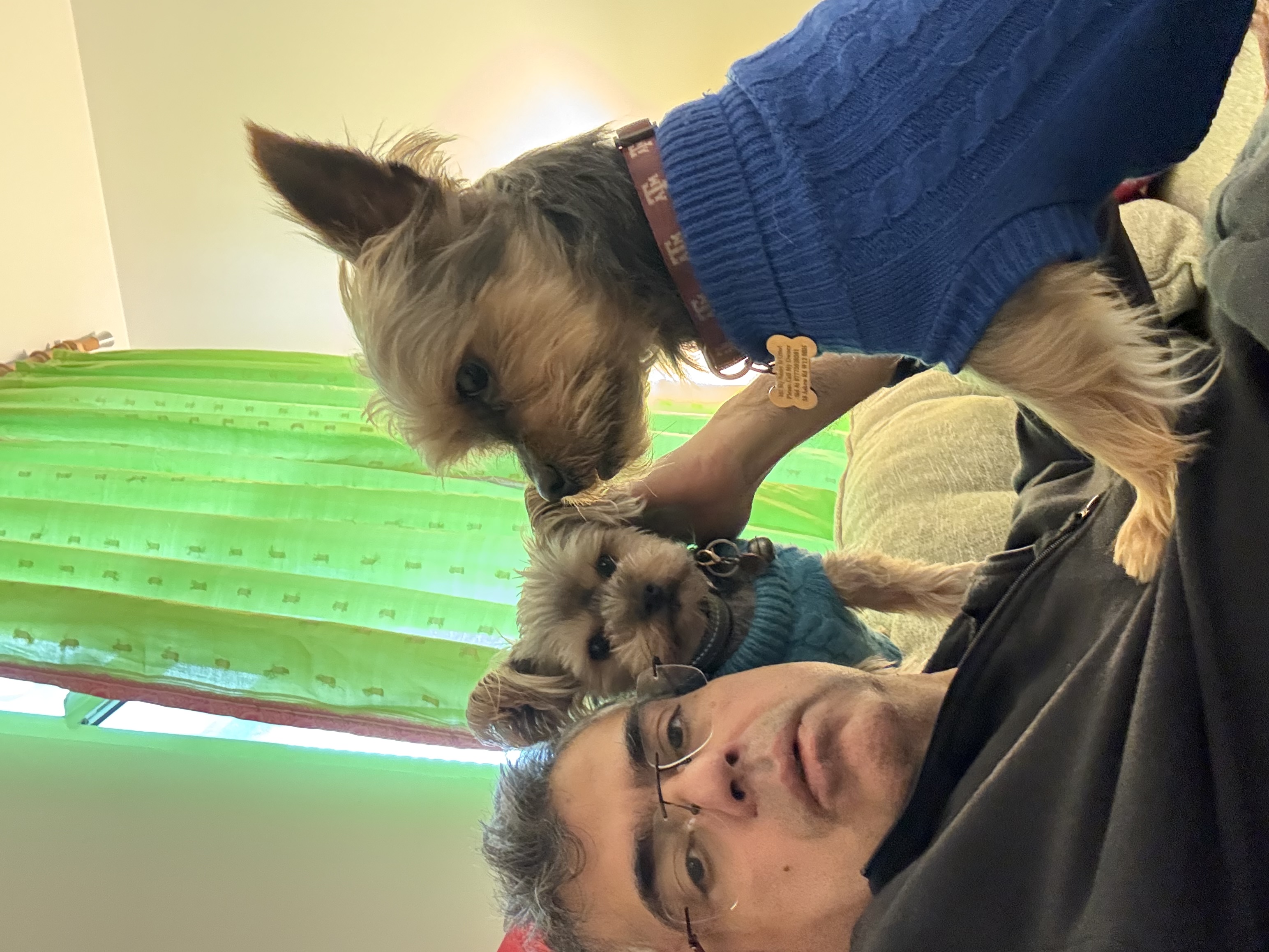 image-6