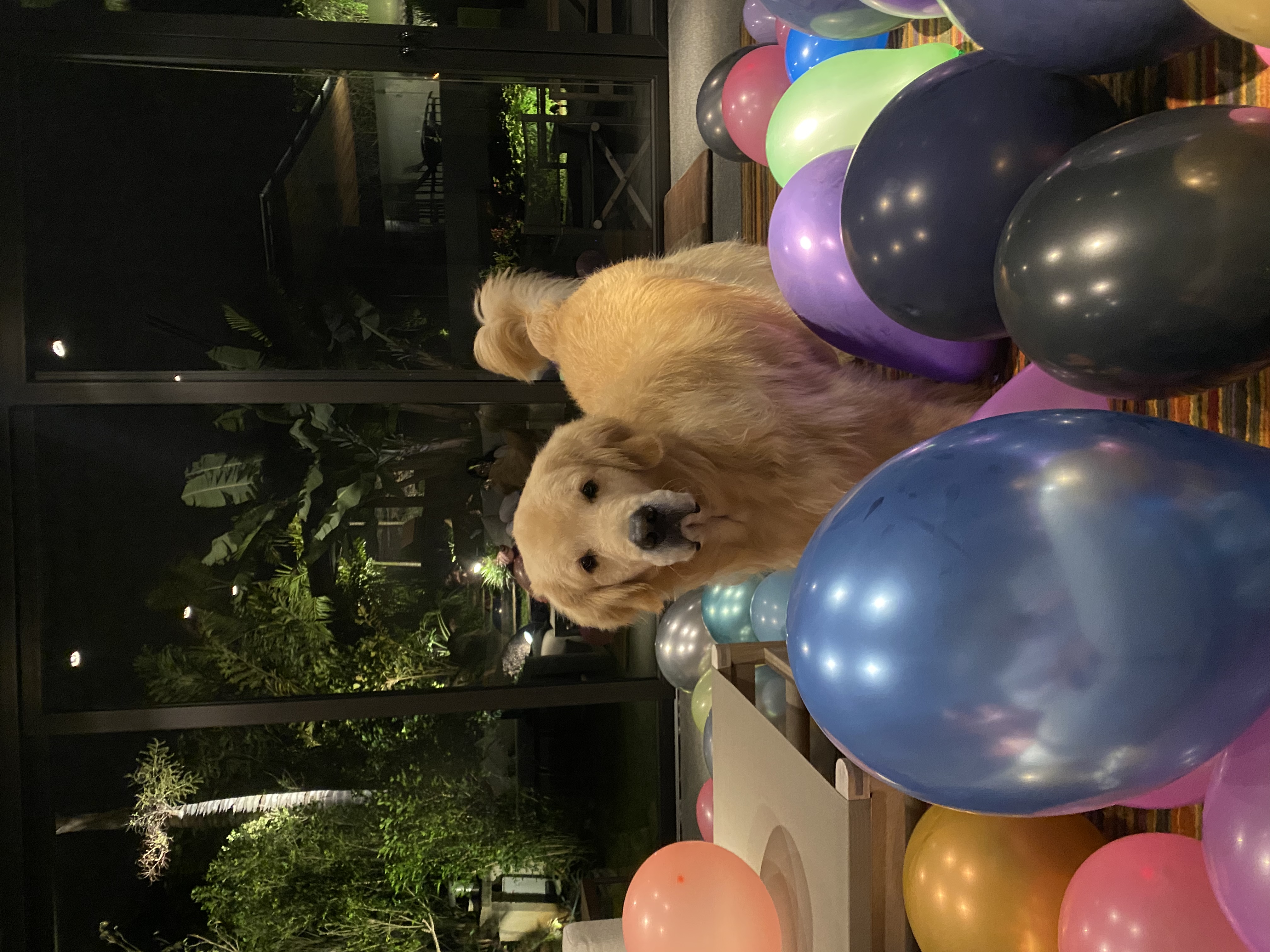 image-5