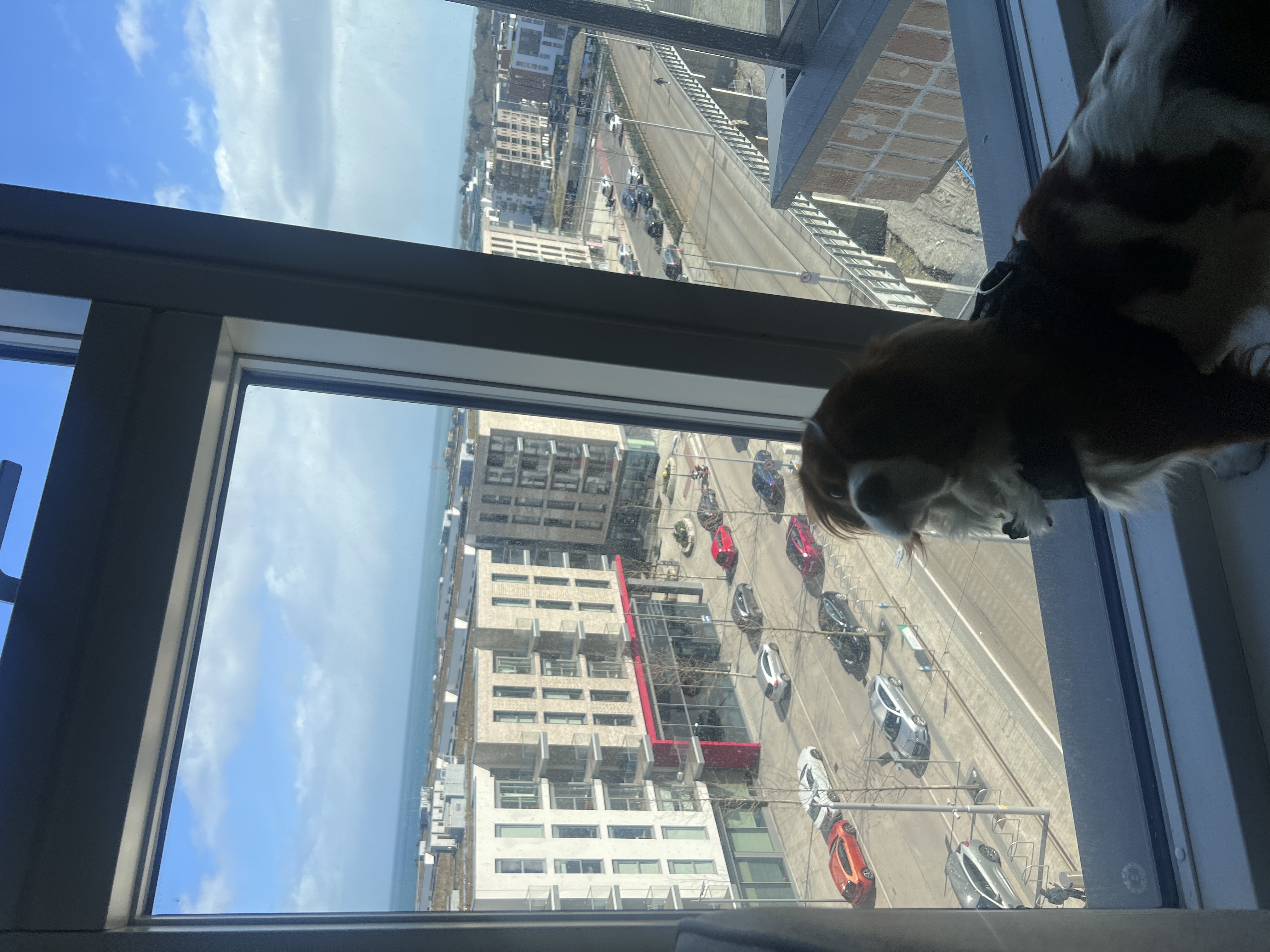image-10