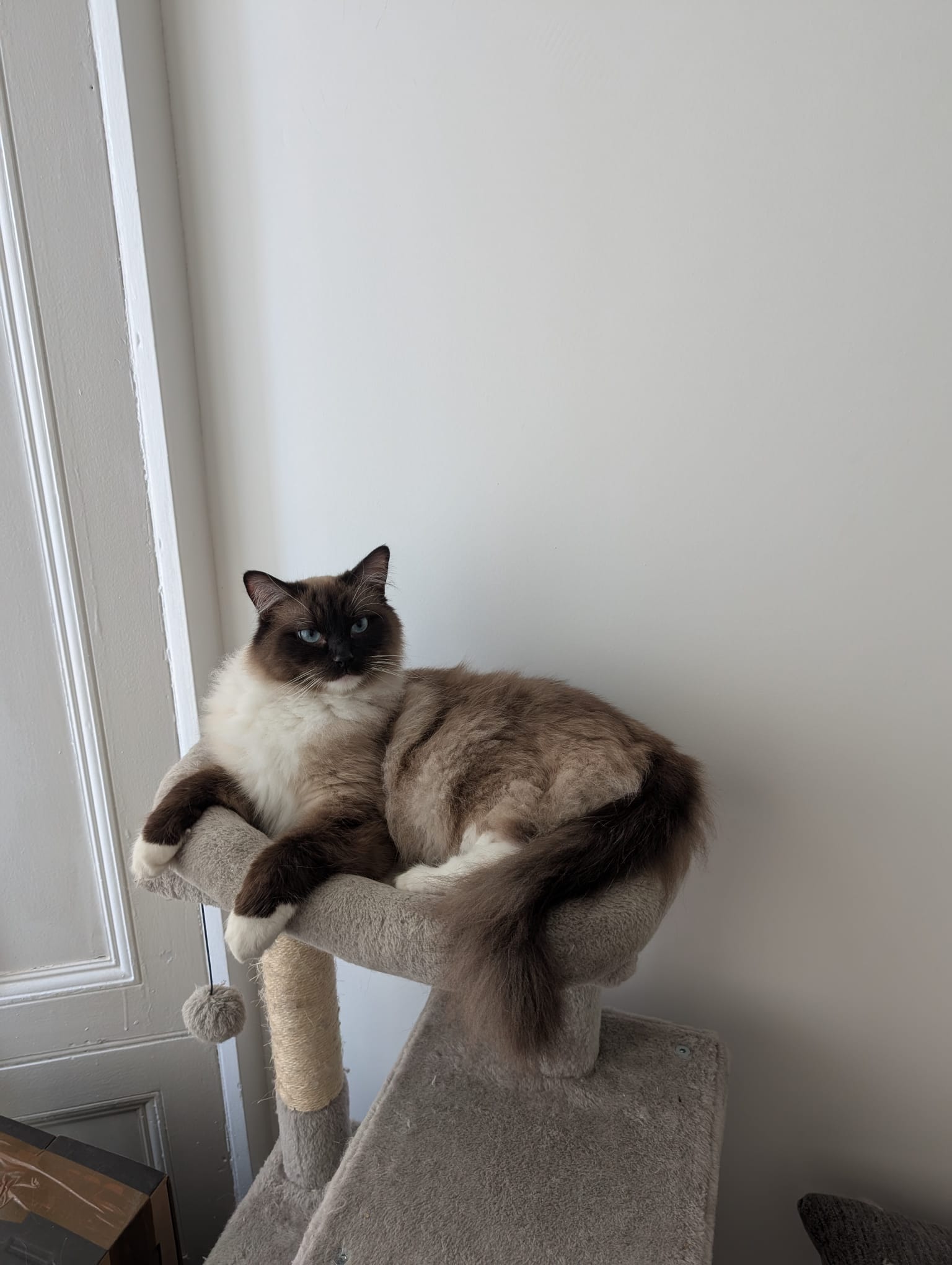 image-9
