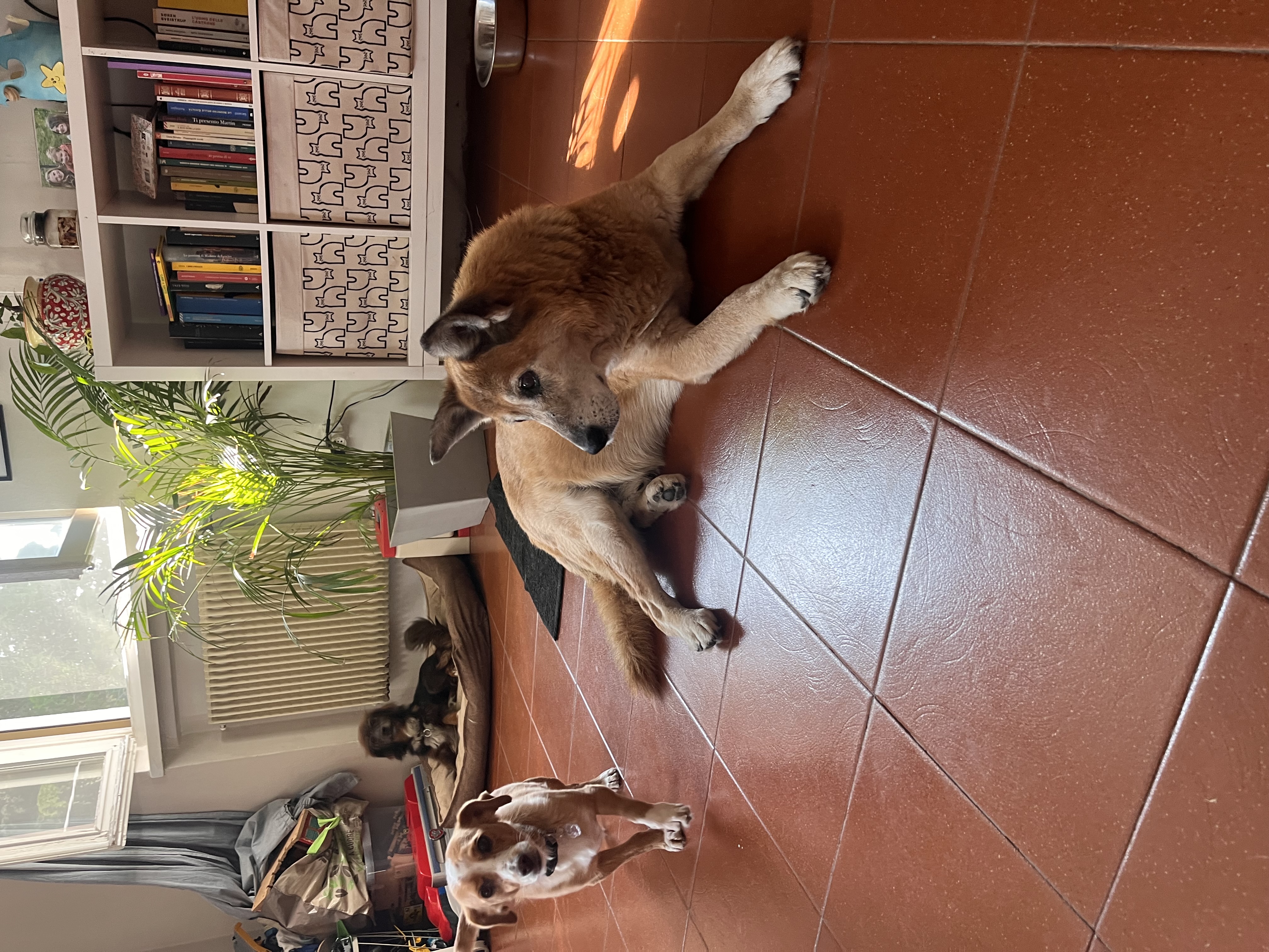 image-14