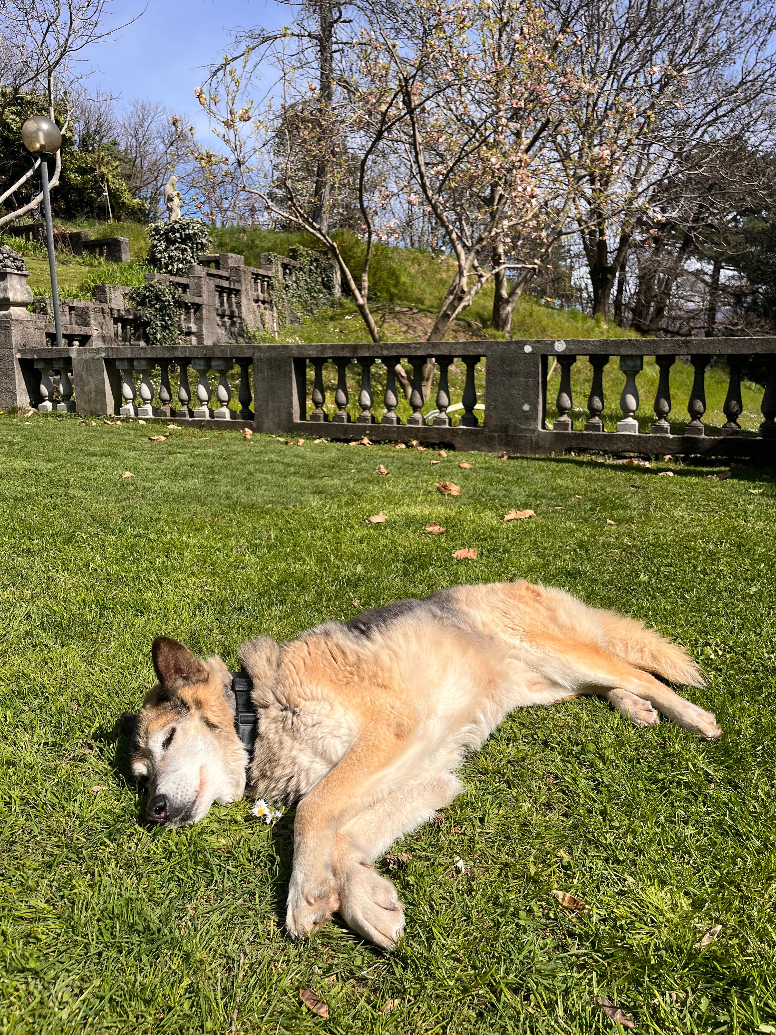 image-8