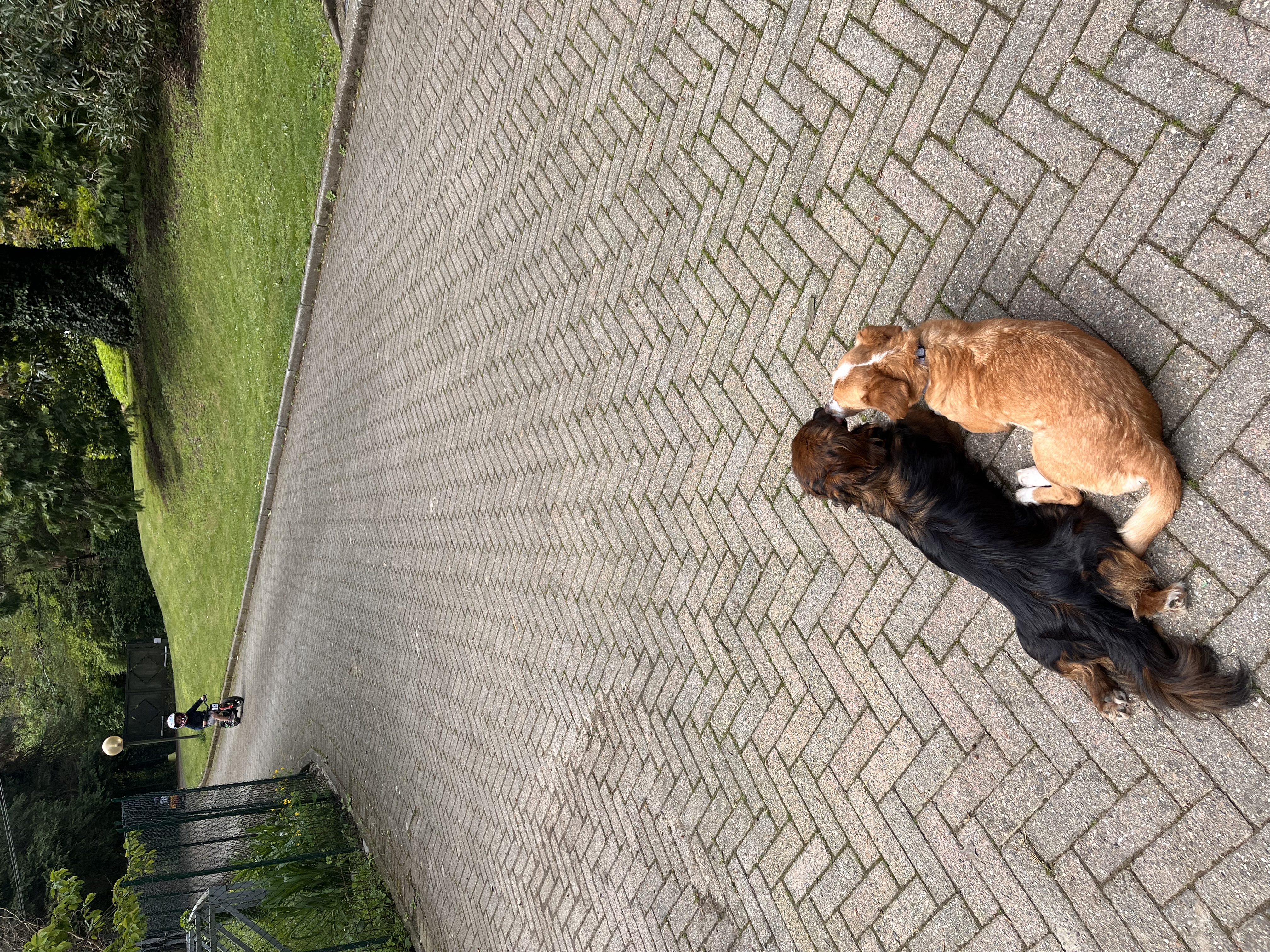 image-15