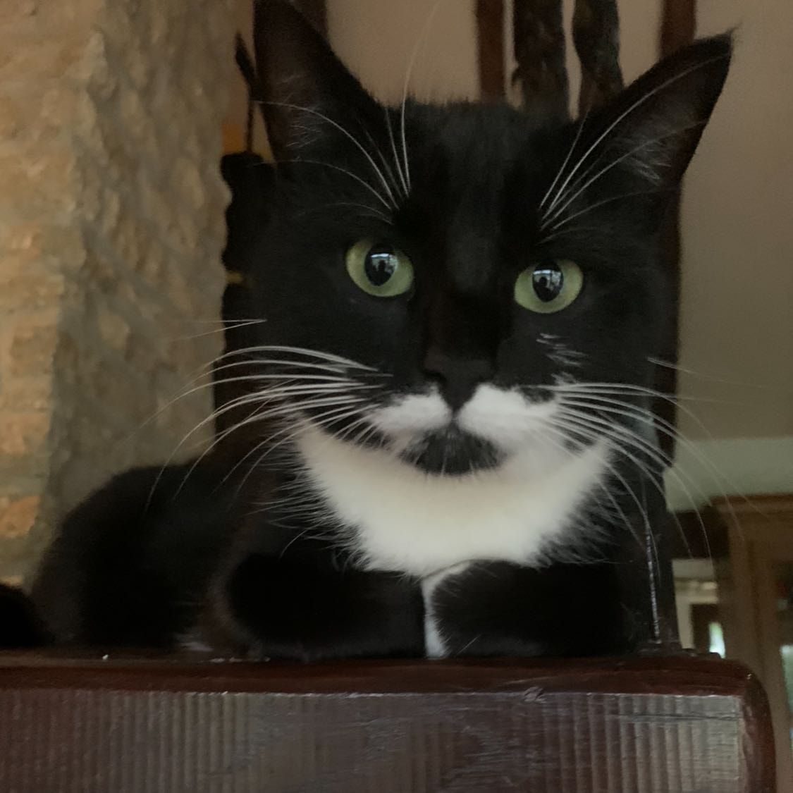Blackie