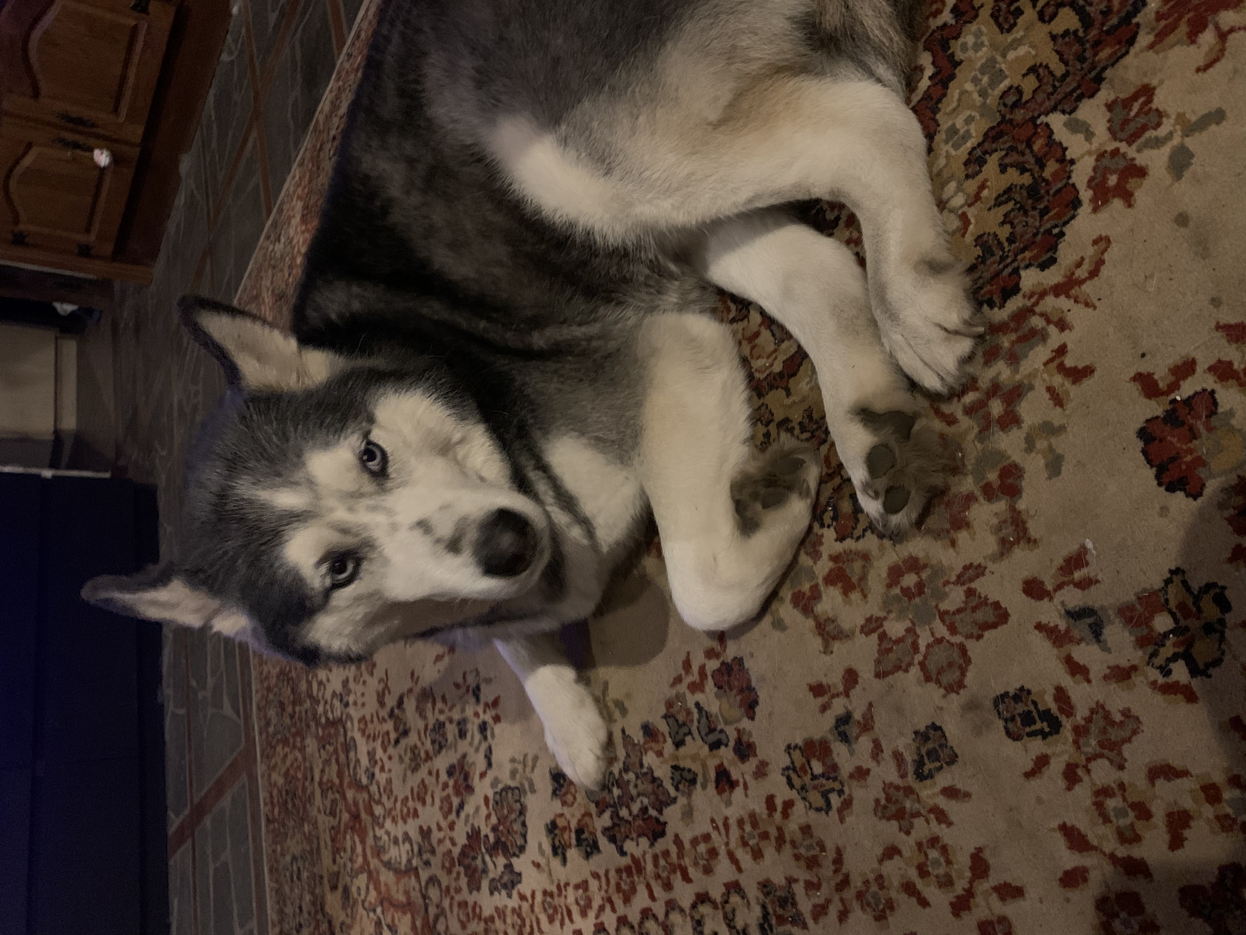 image-14