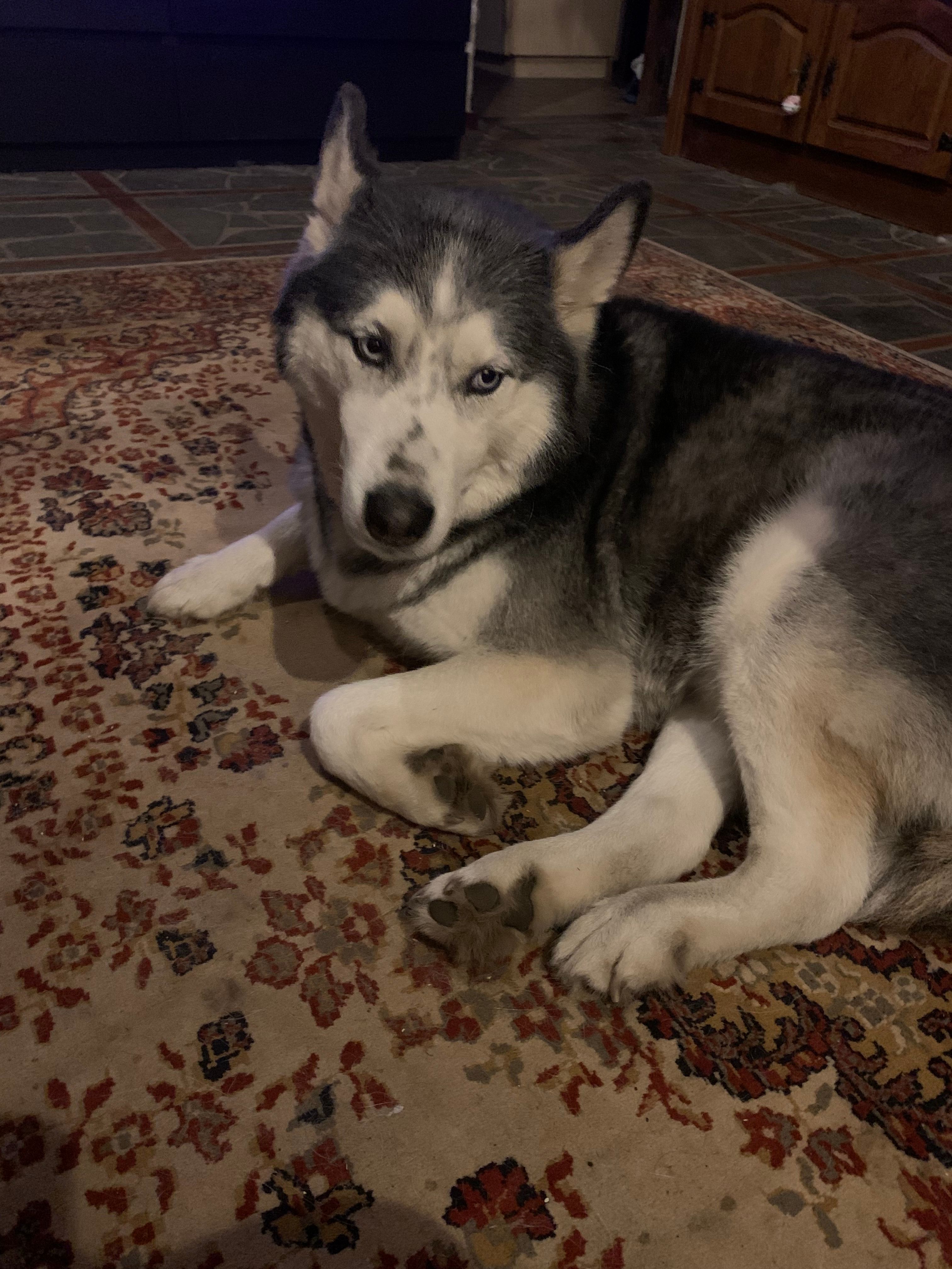 image-14