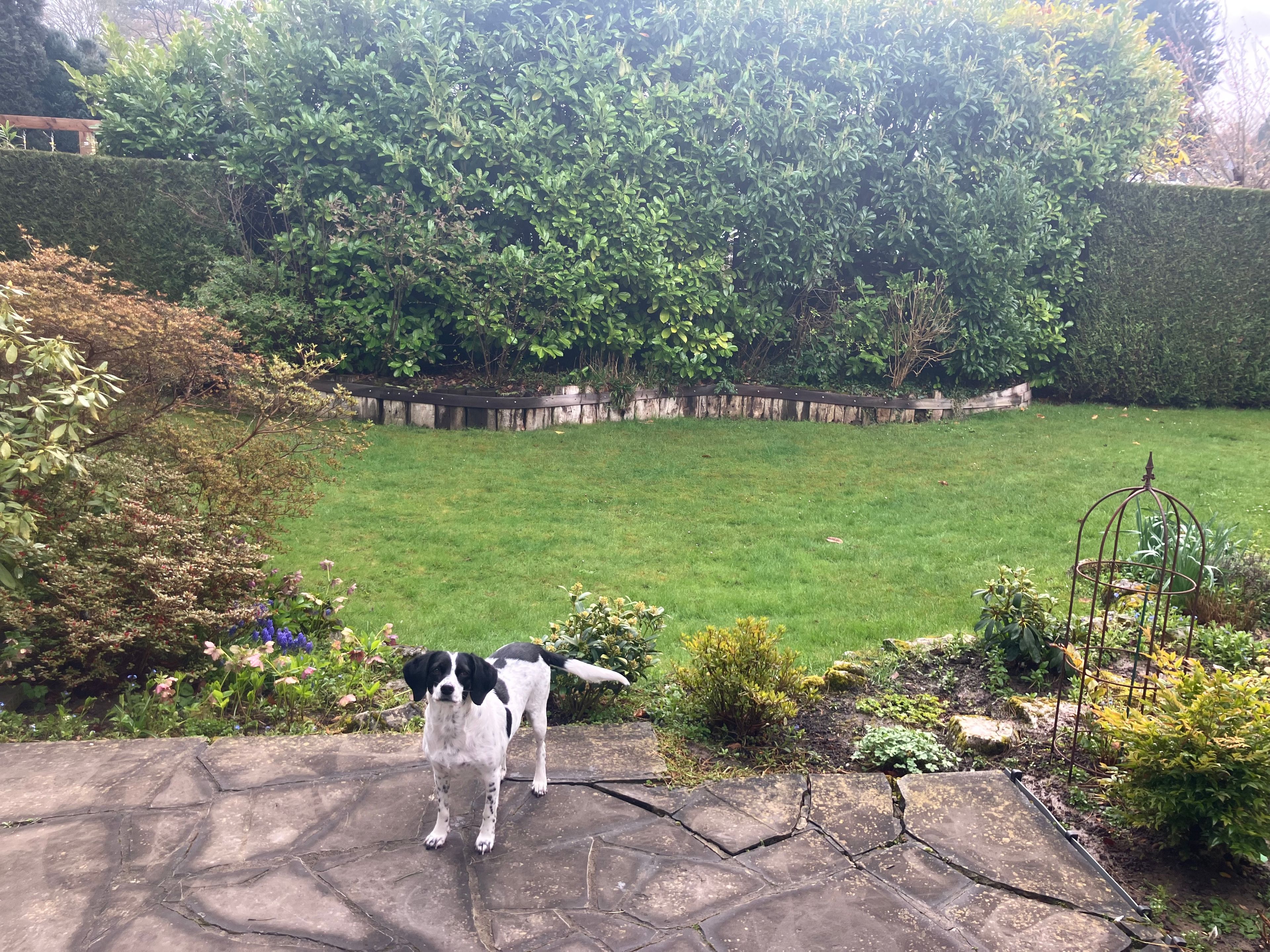 image-20