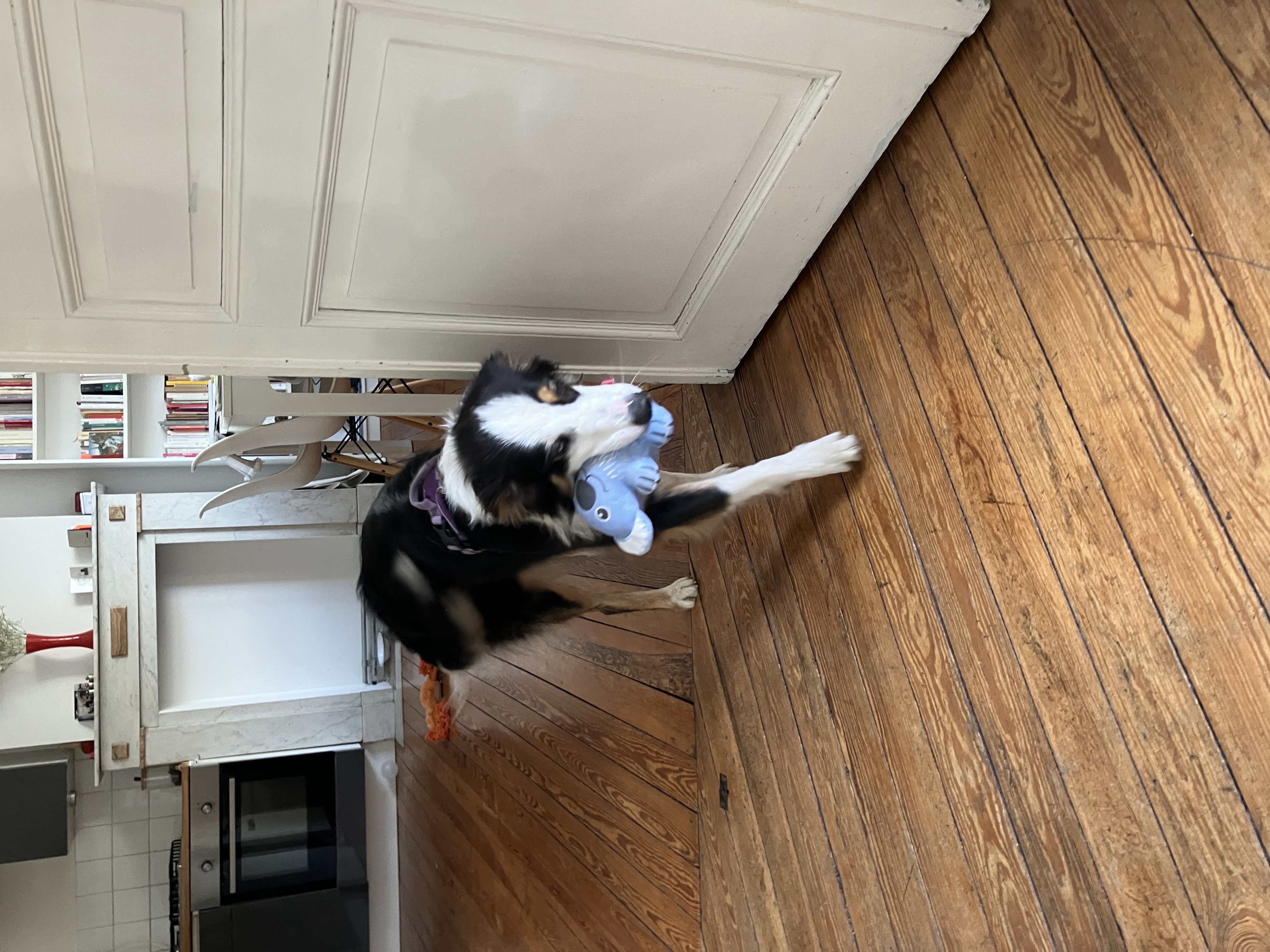 image-15