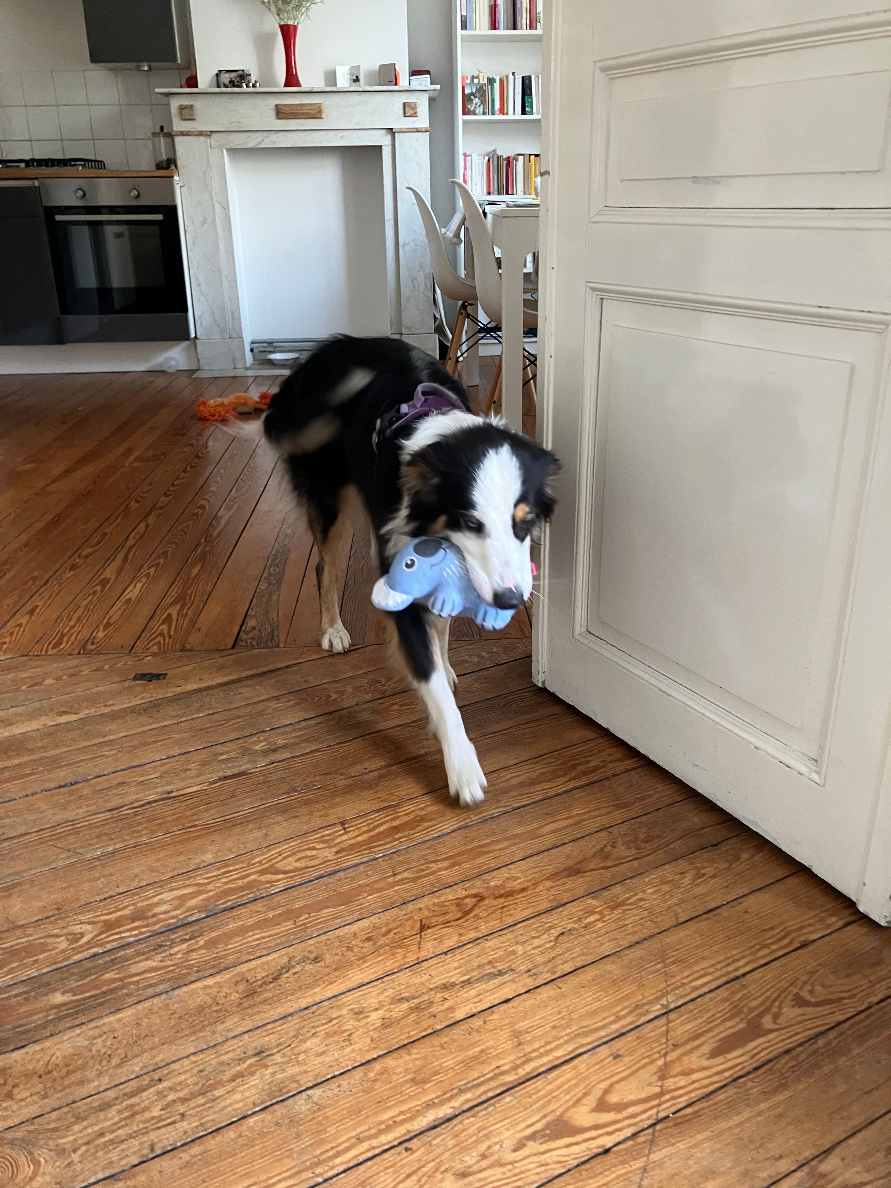 image-15