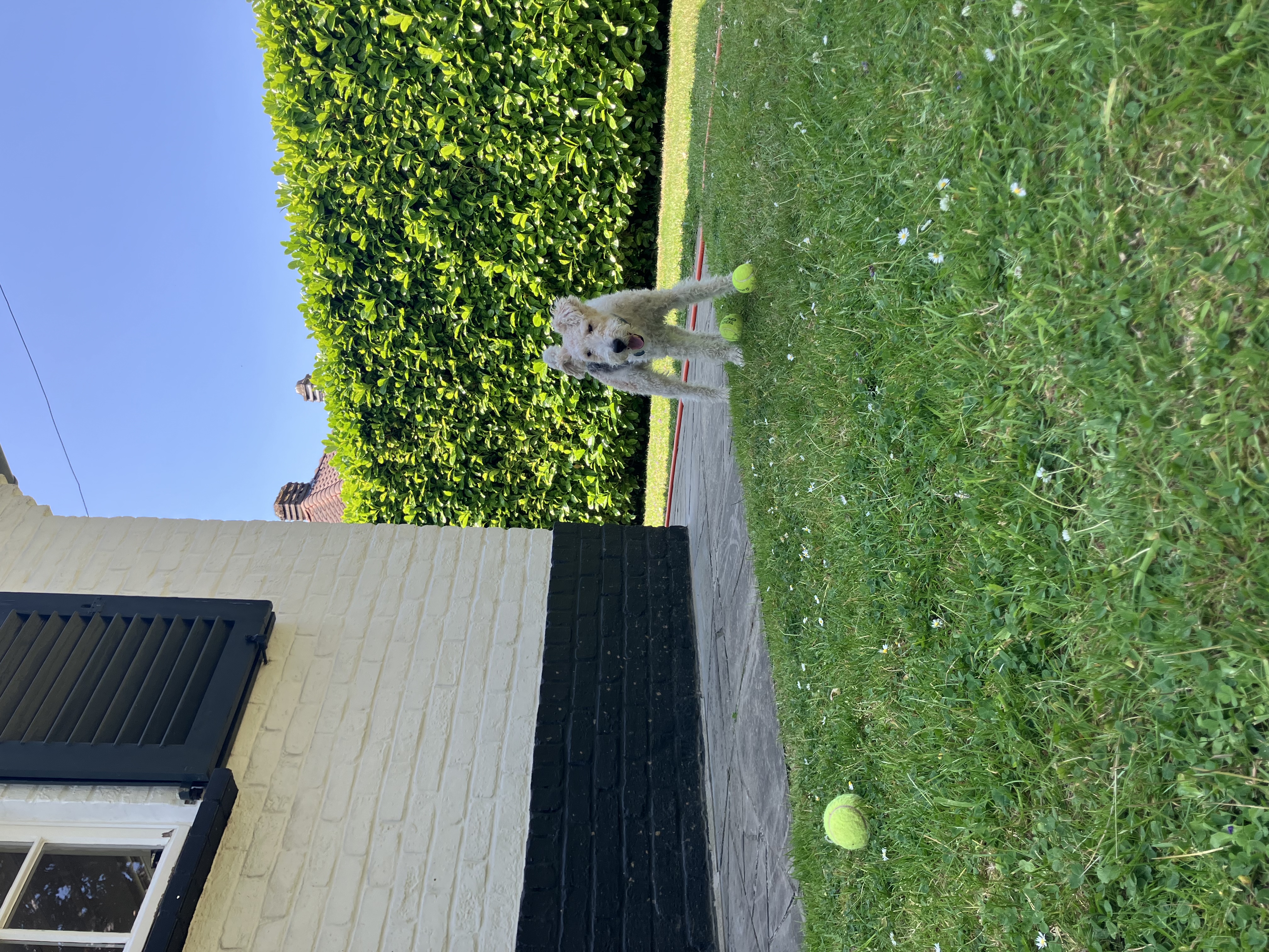 image-17