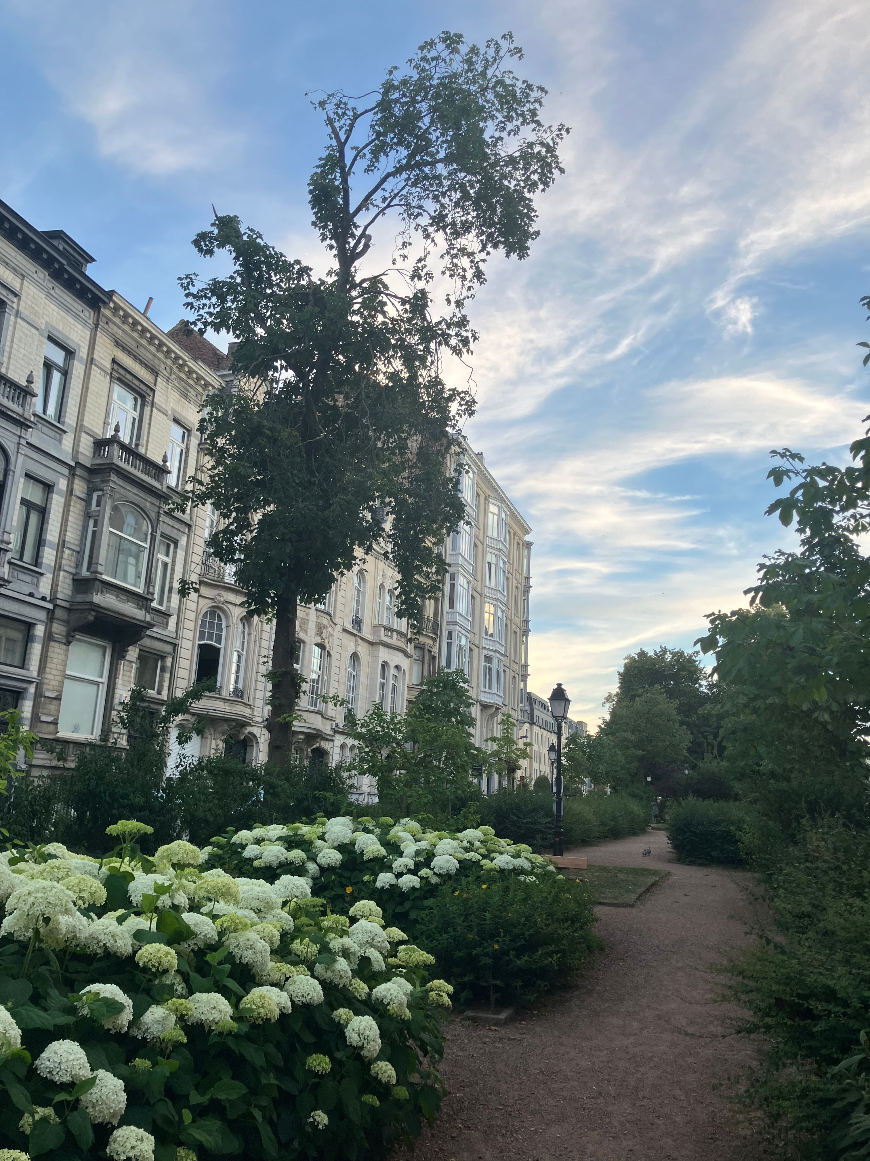 image-18