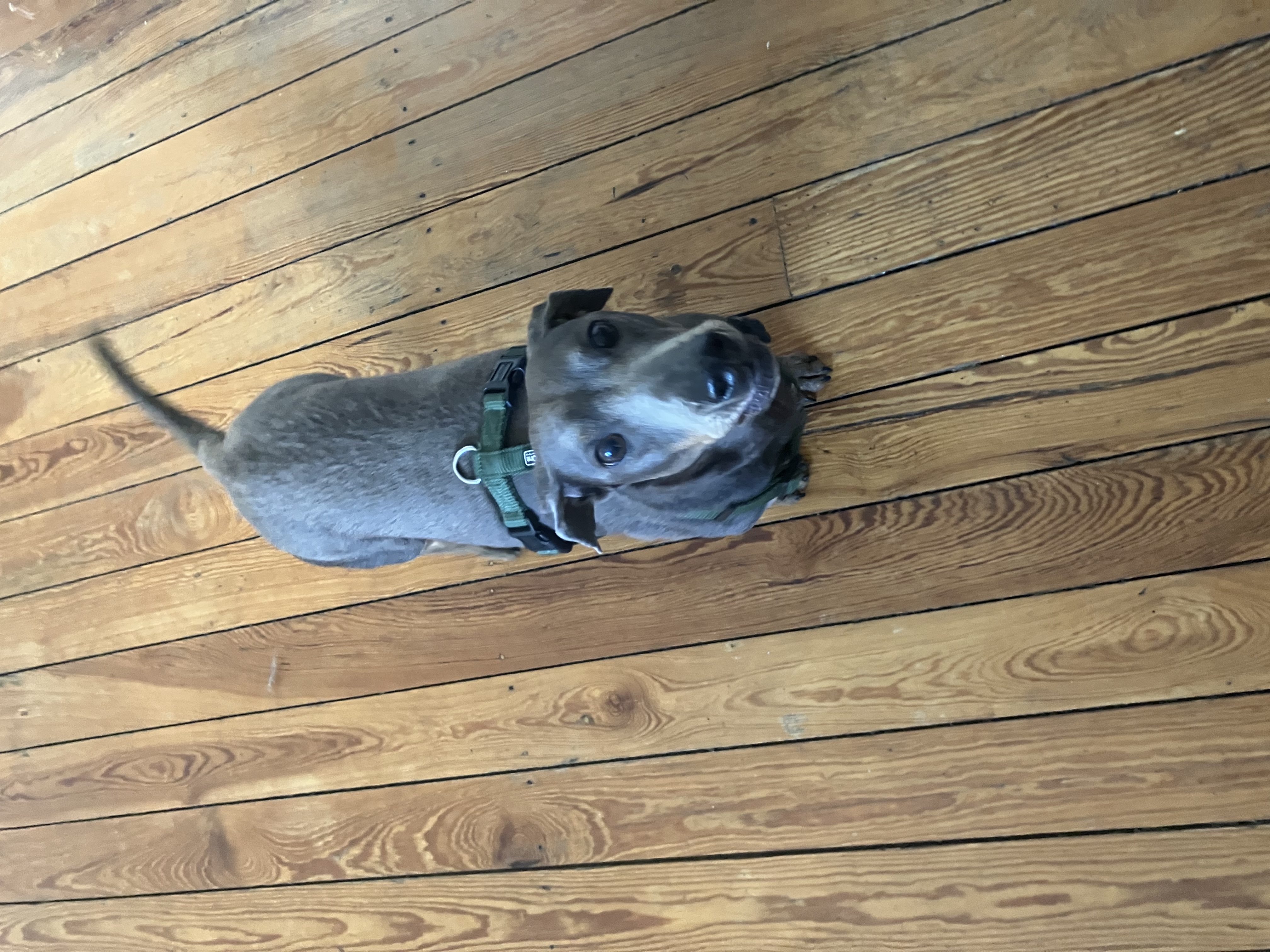 image-6