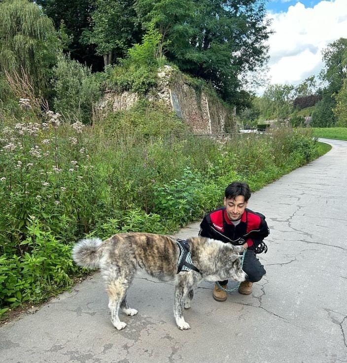 image-1