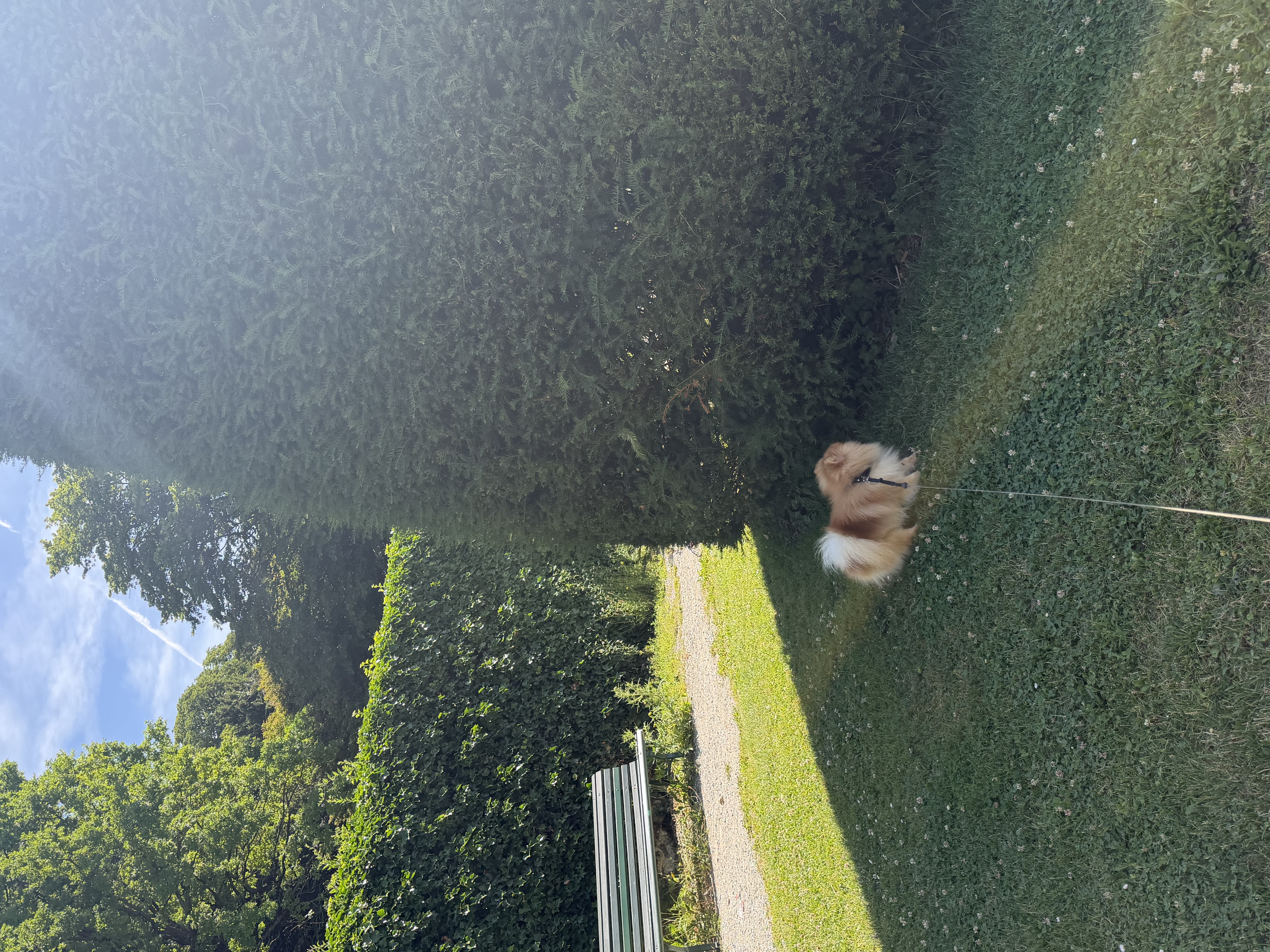 image-9