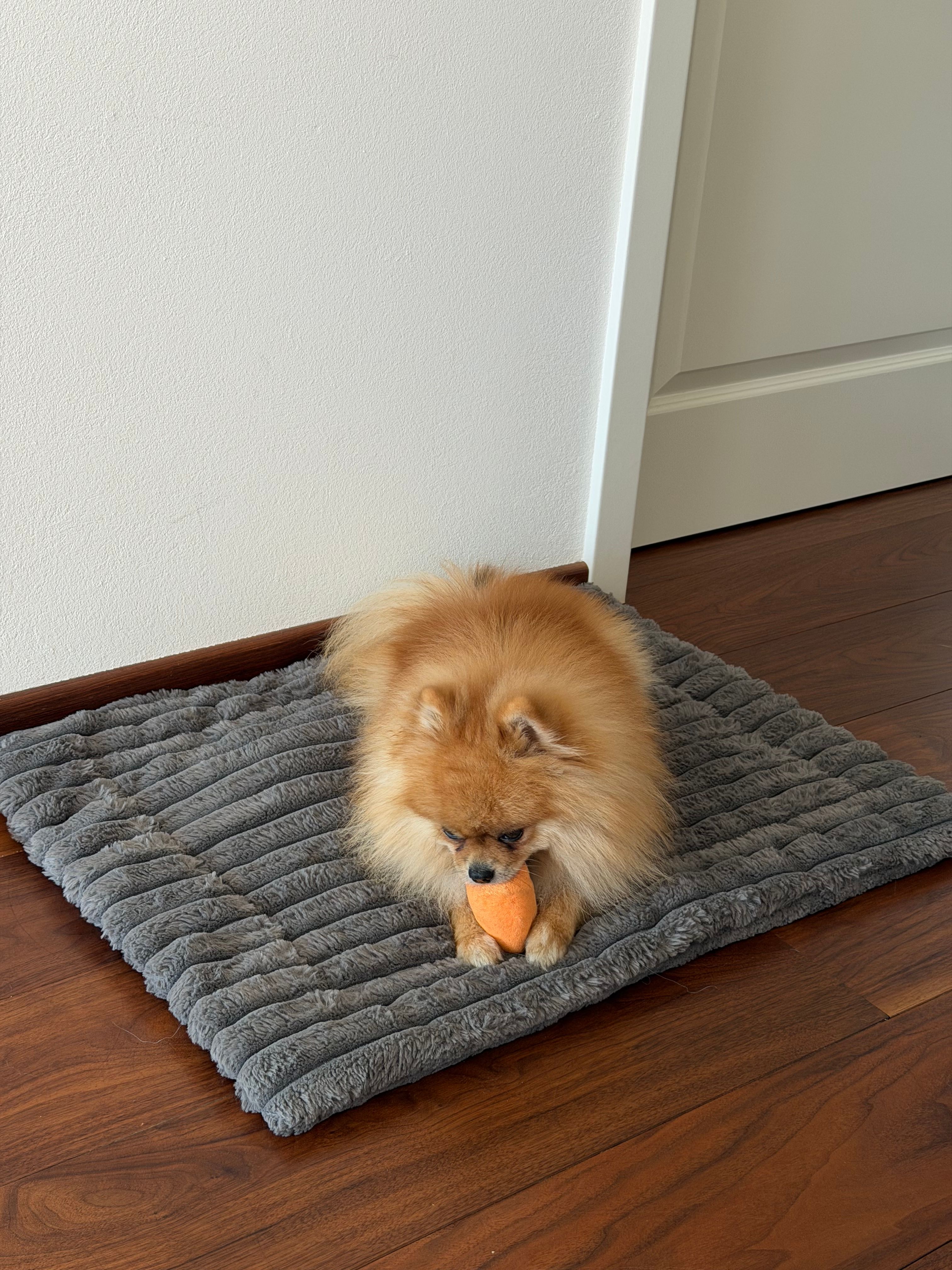 image-17