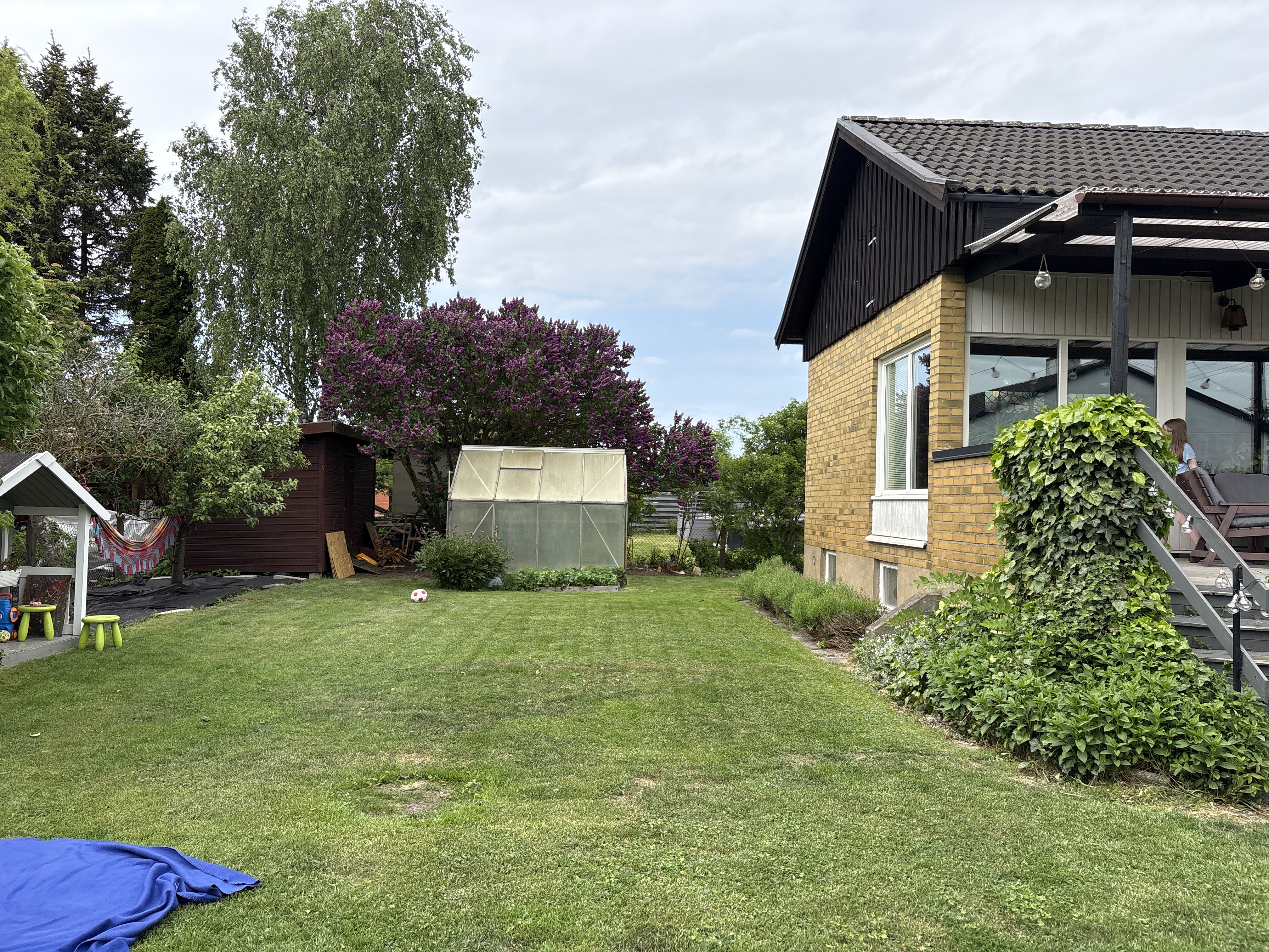image-16